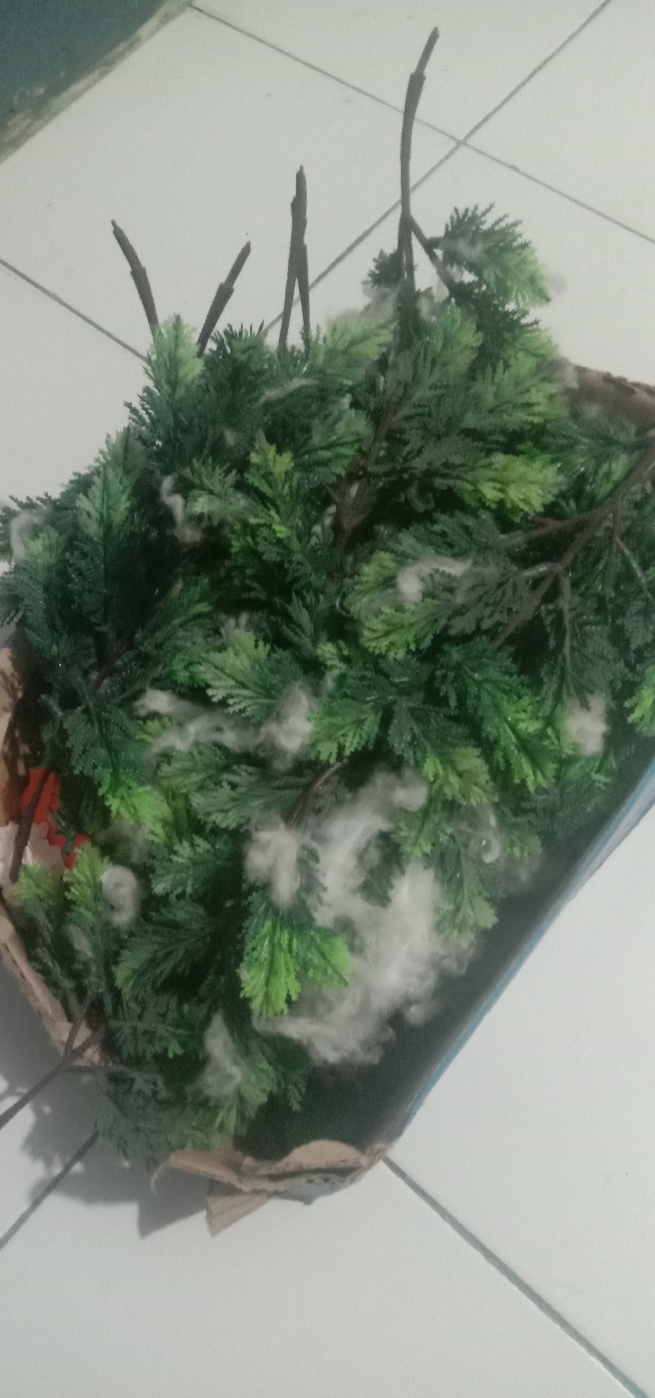 The image depicts a close-up, overhead view of a cardboard box filled with artificial evergreen branches. White, fluffy material, resembling cotton or artificial snow, is interspersed among the branches. Some thin, dark twigs protrude from the top of the greenery. The box itself appears to be partially broken or opened. The scene is set on a tiled floor, with grid lines visible. No people or specific landmarks of Kendari, Indonesia are identifiable in this image.