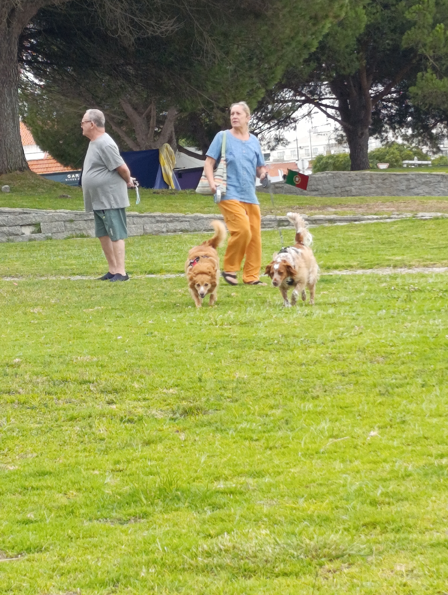 In the city of Setúbal, Portugal, a man in a grey t-shirt and green shorts stands to the left, facing left, with his hands behind his back. To his right, a woman in a blue shirt and orange pants walks to the right, holding a leash connected to a small, brown dog. A second small, brown dog is walking to the left, also on a leash, in front of the woman. The dogs are on a grassy field with a stone wall in the background, behind which are trees and buildings. A Portuguese flag is visible near the stone wall. The scene appears to be a park or public space on a cloudy day.