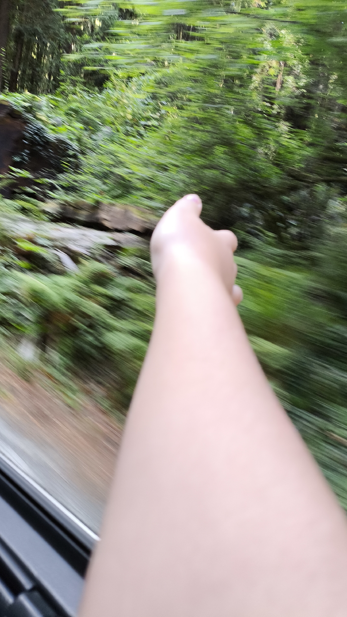 An extended arm, belonging to an individual whose face is not visible, is outstretched from within a vehicle. The arm is angled towards the right side of the frame, with the hand extended forward, its index finger pointed. The scene outside the vehicle, viewed through the side window, is a blur of lush green foliage, suggesting movement through a wooded or forested area. The environment appears natural and overgrown, with trees and dense vegetation dominating the background. The blurriness indicates that the photograph was taken while the vehicle was in motion. The location is identified as Redcrest, United States.