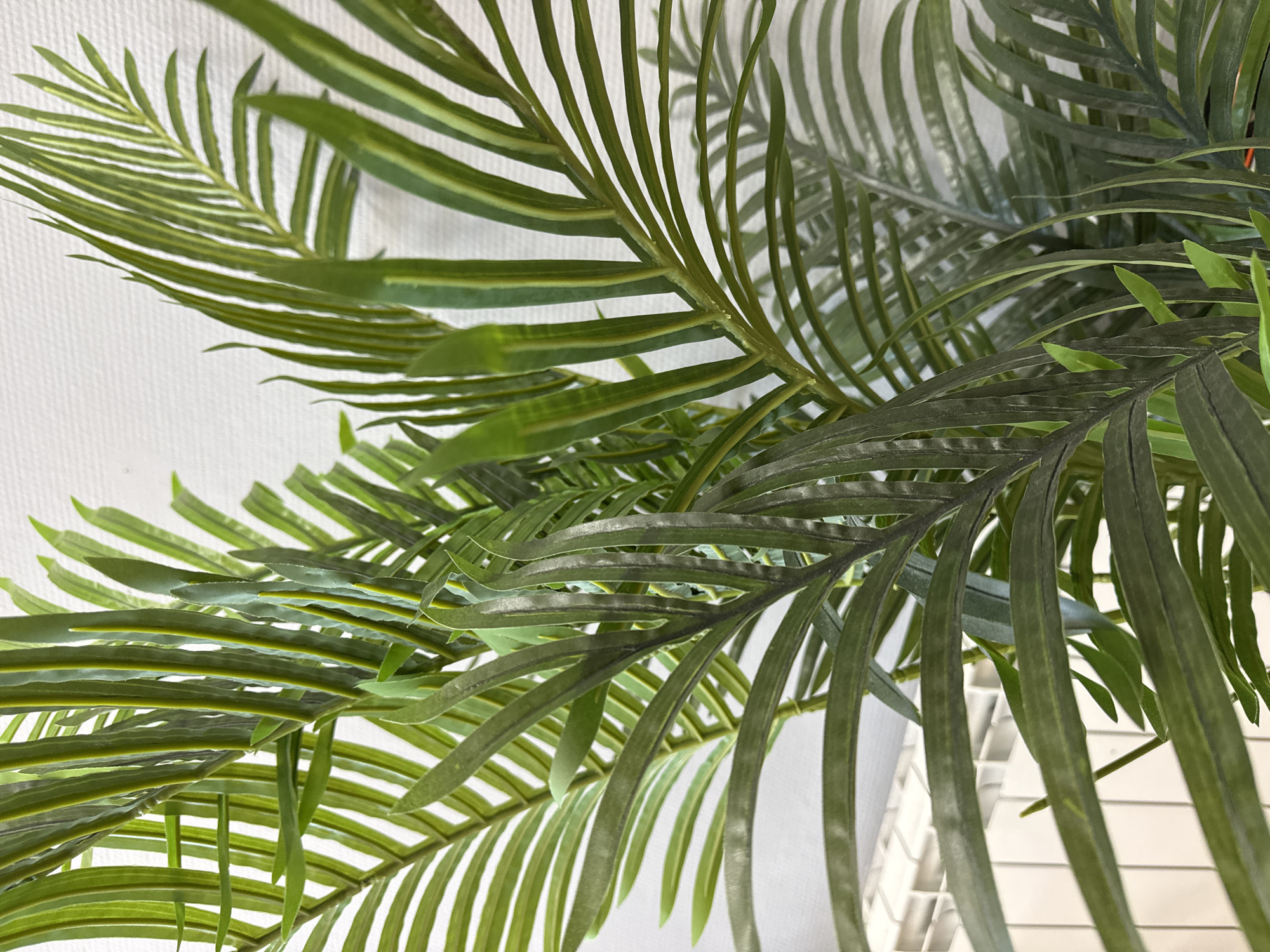 The image shows several green palm fronds against a white textured wall. The fronds are arranged in a seemingly natural, yet deliberate, composition. The leaves are smooth and appear to be plastic. The background is out of focus. The scene has a bright, airy feel. There are no people, objects, actions, or interactions visible other than the palm fronds themselves. There is no information in the image that can pinpoint it to Chaikovsky, Russia.