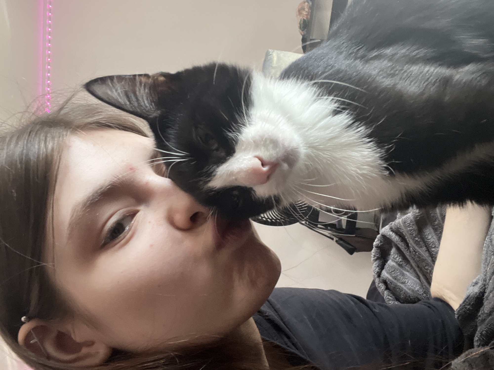 A close-up selfie shows a person with light skin and brown hair positioned alongside a black and white cat. The person is pouting their lips as if to kiss the cat. The cat is close to the person's face, with its head near the person's nose. The cat's fur is primarily black with a white patch around its mouth and chest. In the background, there is a wall with an LED strip and a partially visible desk fan. The person is wearing a dark t-shirt, and a grey striped blanket is partially visible. The location is an interior space. There is no evidence to suggest the location is in Saint Petersburg, Russia.