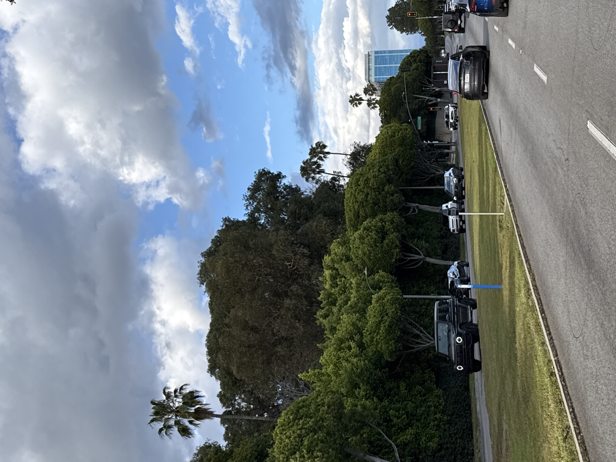 The image depicts a street scene in Beverly Hills, California. A line of black and white Ford Broncos is parked along the grass median between opposing lanes of traffic. The street itself is paved asphalt with painted lane markers. Other vehicles, including cars and SUVs, are visible in the moving traffic. Dense green trees line the median and the edges of the street, with palm trees interspersed among them. In the background, a tall, modern building is visible against a sky with scattered clouds and patches of blue. The traffic light in the distance is red.