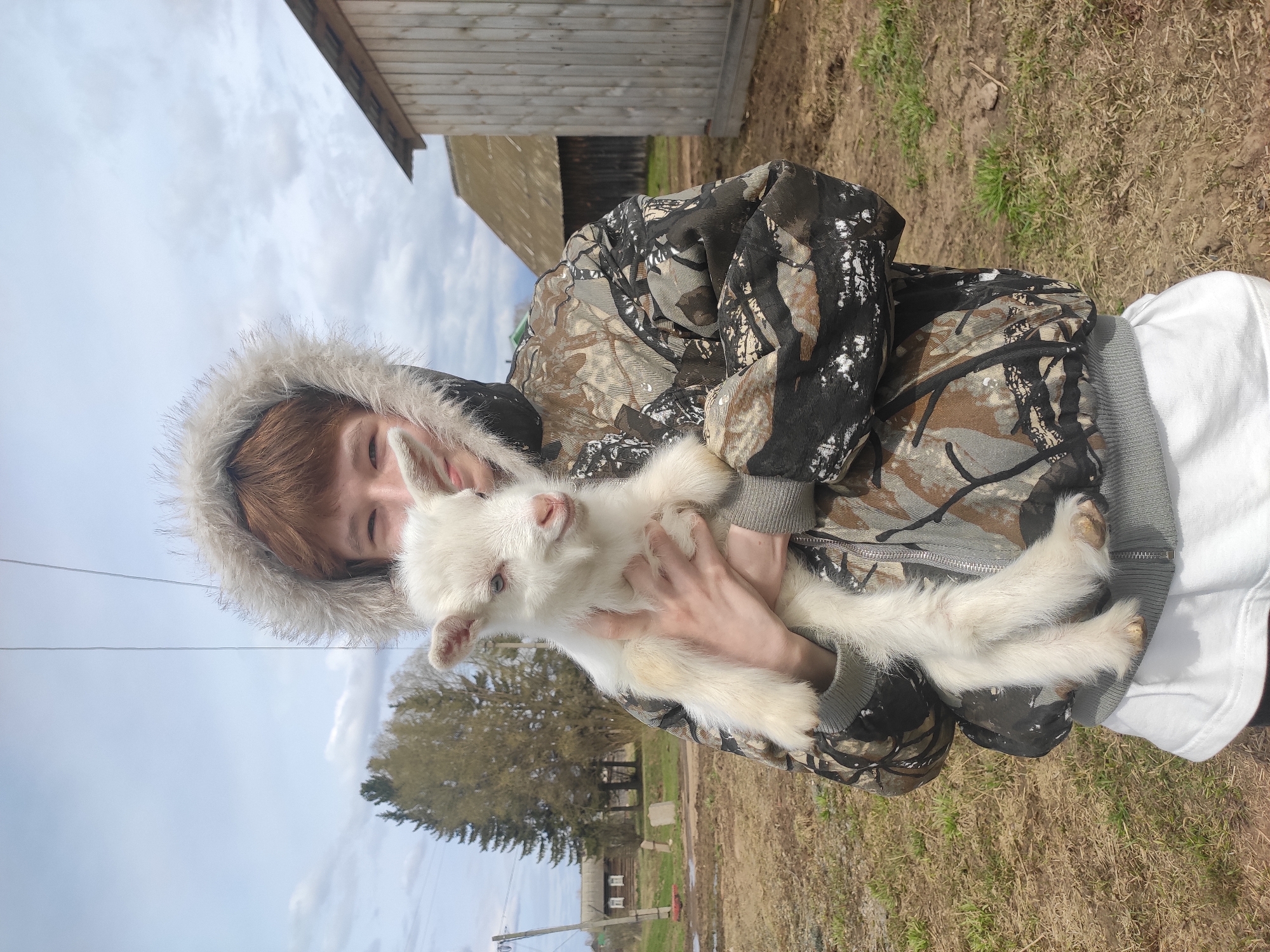 A young person, likely with reddish-brown hair, is captured in a close-up, half-body shot, holding a small, white goat kid in their arms. They are wearing a camouflage-patterned jacket with a fluffy white fur-lined hood. The person's face is partially visible, with a gentle expression as they look towards the goat. The baby goat has light blue eyes, a pink nose, and soft white fur, appearing calm and looking towards the camera.
The scene takes place outdoors on what appears to be a rural or farm property during the daytime under a bright, cloudy sky. In the background, there is a weathered wooden building, possibly a barn or shed, and patches of dry grass and dirt on the ground. Several trees, some with light green foliage, are visible further in the background, along with a utility pole and overhead wires on the left side of the frame. The image conveys a tender moment between the individual and the young animal. No text is visible in the media file.