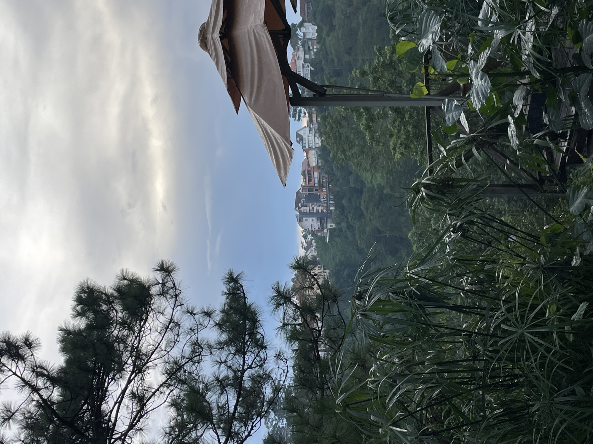 The image captures a scenic view from a balcony or patio area in Da Lat, Vietnam. In the foreground, lush green foliage, including large-leafed plants and papyrus-like reeds, frames the scene. A large, tan umbrella with a multi-tiered canopy is visible on the right, supported by a dark metal pole. Beyond the foliage and umbrella, a verdant, tree-covered hillside stretches into the distance, dotted with a cluster of houses and buildings on the ridge. The sky above is overcast with soft, diffused light, suggesting either early morning or a cloudy day. The architecture of the buildings on the hill appears to be a mix of modern and traditional styles, common in Da Lat. The overall impression is one of a tranquil hillside retreat overlooking a town.