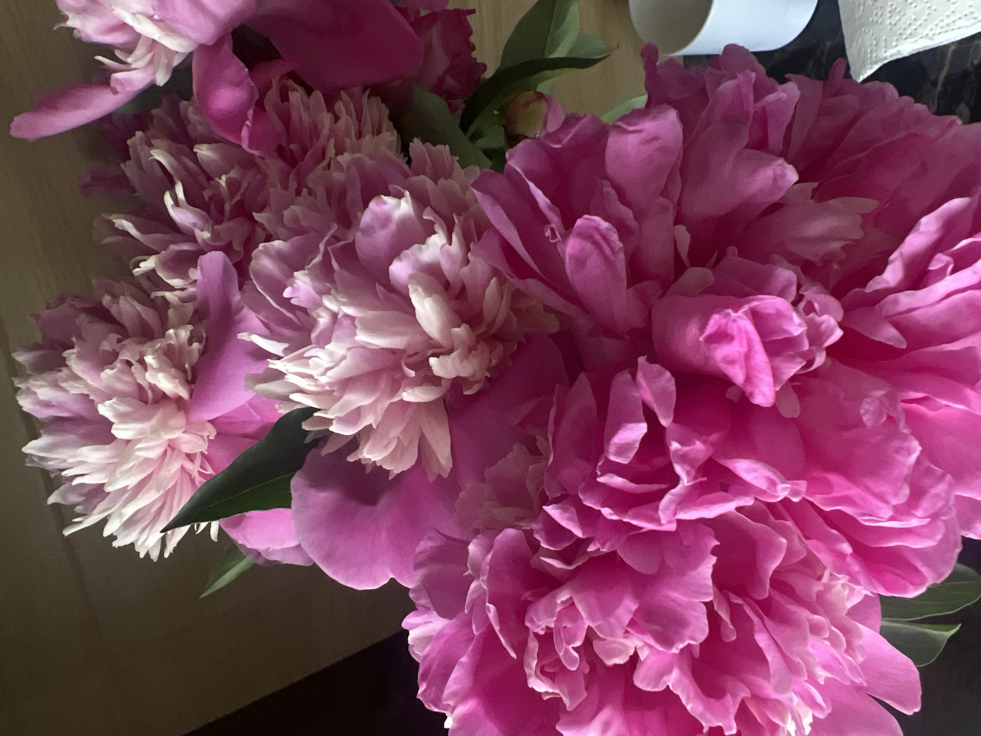 A close-up, overhead shot features a bouquet of vibrant pink peonies. The flowers are lush and full, with layered petals in varying shades of pink and white at the center. A few dark green leaves are visible amongst the blooms. The background is a mix of dark and light brown, suggesting a wooden surface, and a white cup and a white napkin are partially visible in the lower right corner. The lighting is natural and soft, creating subtle shadows and highlights on the petals. The image does not depict any people or actions. The location in the city of Ternopil, Ukraine is not ascertainable from the image.