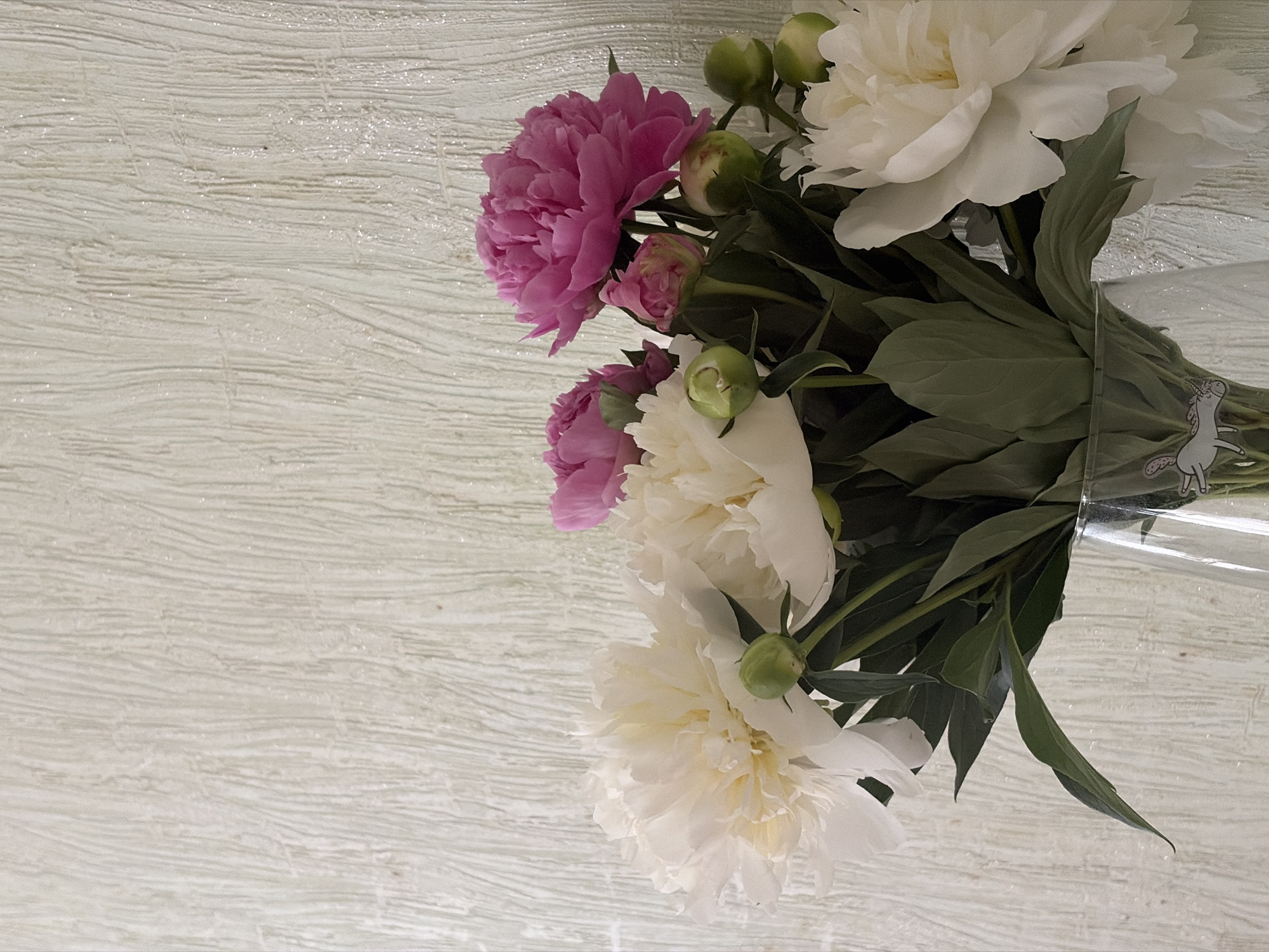 A bouquet of white and pink peonies is displayed in a glass vase against a textured, light-colored wall. The bouquet includes several fully bloomed peonies in both colors, along with a few buds. The vase has a subtle decoration of a white animal, possibly a unicorn or horse, on its side. The background wall has a coarse, vertical-striped texture with some subtle shimmer. The lighting suggests an indoor setting. There are no people present in the image. The scene is likely set in an apartment in Chaikovsky, Russia, given the presence of peonies, a common flower in the region during warmer months, and the aesthetic of the interior background.