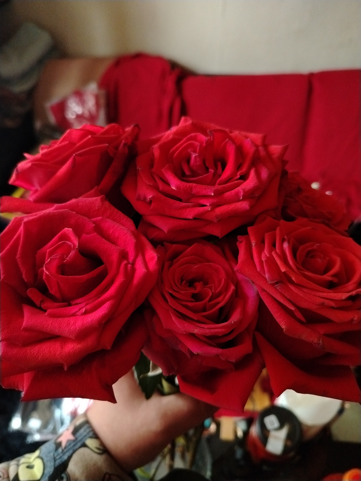 A close-up shot features a bouquet of rich red roses held by a hand at the bottom of the frame. The seven prominent rose blooms, with their tightly packed petals, dominate the foreground, showcasing various shades of crimson. The image uses a shallow depth of field, rendering the background softly blurred. In the background, a person is discernible reclining on a red sofa or couch, their form indistinct. The setting appears to be an indoor space, likely a home, characterized by warm, diffused lighting. The primary activity is the holding of the roses, possibly a gesture of gifting or admiration. The overall mood conveyed is one of warmth and affection, consistent with the symbolism of red roses. No discernible text is visible within the image. This scene takes place in Chaikovsky, Russia.