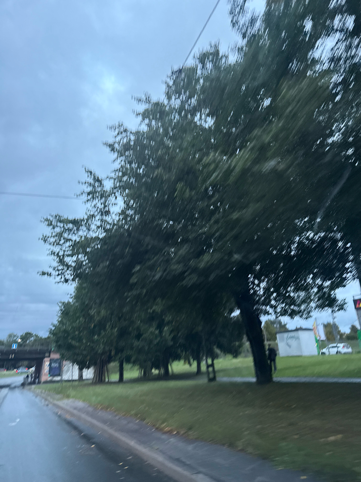 The image shows a roadside view with trees lining a grassy area. A wet asphalt road is visible in the foreground, suggesting recent rain. In the background, there's a white building with signage and a white car parked nearby. A person is walking in the distance near a tree. Overhead, there is a cloudy sky. The presence of a speed limit sign and what appears to be street lighting suggests an urban or suburban setting. The image quality is poor due to motion blur, making it difficult to discern fine details. This scene is characteristic of the Pirita district in Tallinn, Estonia, known for its coastal road and green spaces.