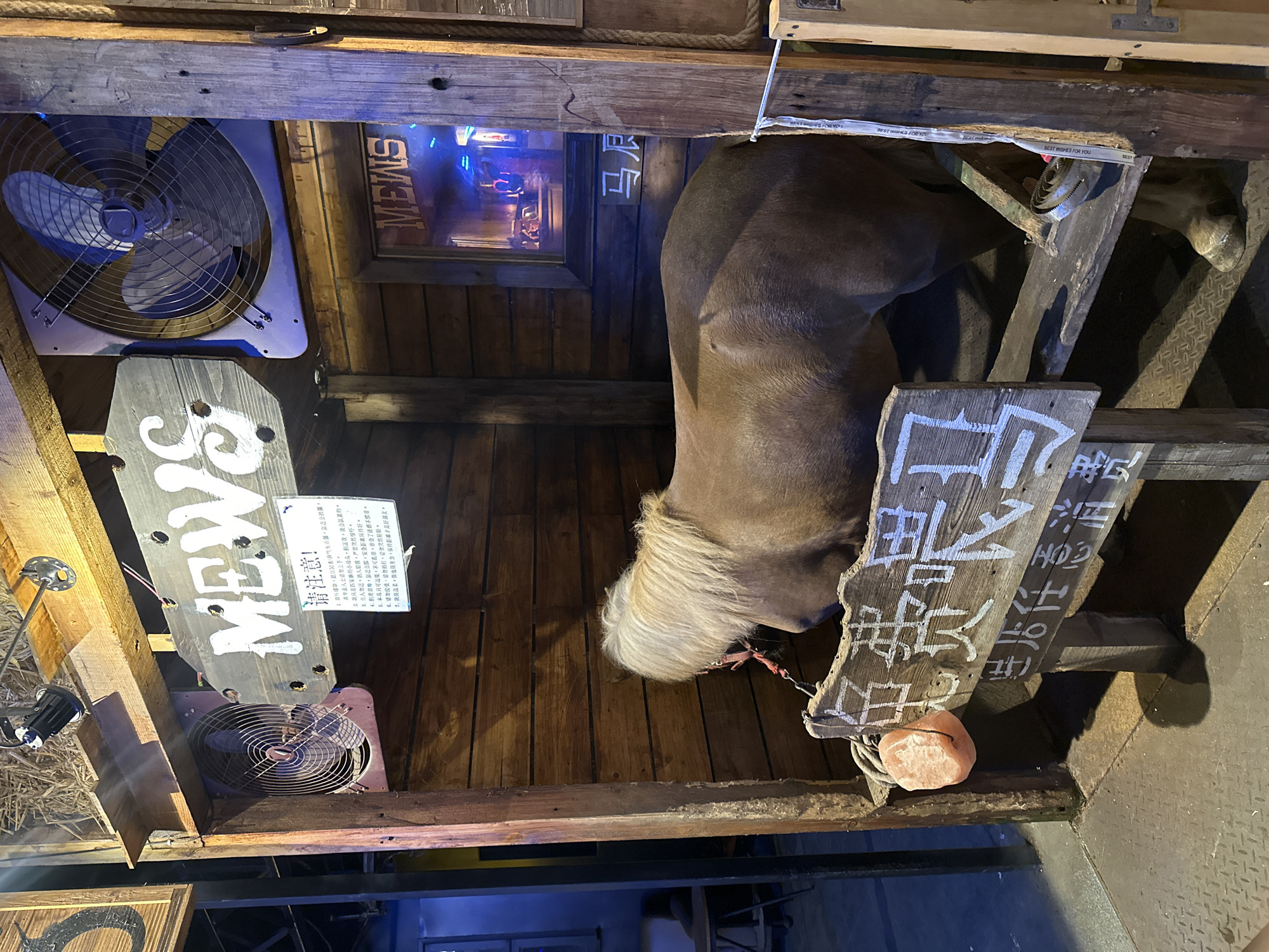 Here is a detailed description of the image:
**Scene Overview:**
The image shows an indoor scene, likely within a business establishment. The decor has a rustic, western-themed aesthetic.
**Subjects and Objects:**
* **Artificial Horse:** A life-sized, taxidermied or constructed horse is a focal point.
* **Signage:** Multiple wooden signs with white lettering are visible, displaying text. One reads "MEWS" in large letters. Another sign has text written in Chinese, giving cautionary instructions about the horse. Another sign says “马尼” and “免费喂马 进店任意消费”
* **Fans:** Two electric fans are mounted on the walls or ceiling.
* **Lighting:** A spotlight or lamp fixture is present.
* **Wooden Structure:** The entire scene is framed by a wooden structure made of planks and beams.
* **Picture:** A framed picture with text is seen near the fan.
* **Salt Rock:** A pink salt rock hangs from a rope.
**Environment:**
* **Walls:** The walls are made of wood.
* **Theme:** The environment is designed to evoke a rustic or western theme.
**Location:**
Based on the OCR text on the signs, this image is likely taken at or near the MEWS establishment. No specific details are provided to confirm the exact address or specific location within the Chongqing High-tech Zone, China.