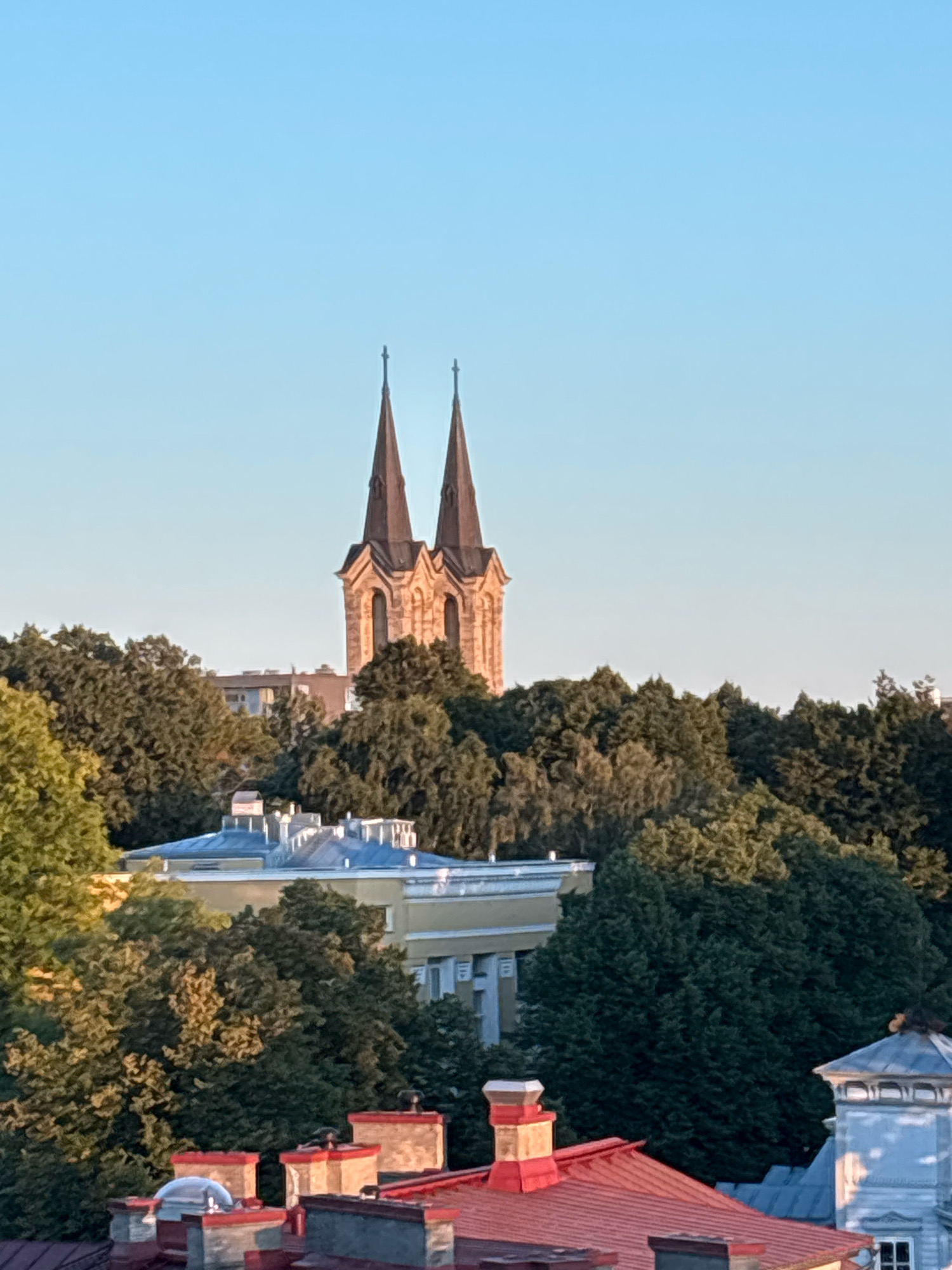 The image is an outdoor, eye-level, medium shot capturing a view of the city of Tallinn, Estonia. In the background, two spired church towers, likely made of stone, rise above a dense canopy of green trees. The towers have arched windows and a distinctive architectural style. In the middle ground, a light-colored building with a light blue roof is partially visible behind more trees. In the foreground, several red-tiled rooftops with chimneys are prominent, suggesting a residential or historical area. The sky is clear and light blue, indicating daytime. There are no people or animals visible in the image. The scene appears to be a quiet cityscape bathed in natural light, possibly during the late afternoon or early morning given the soft lighting on the towers.