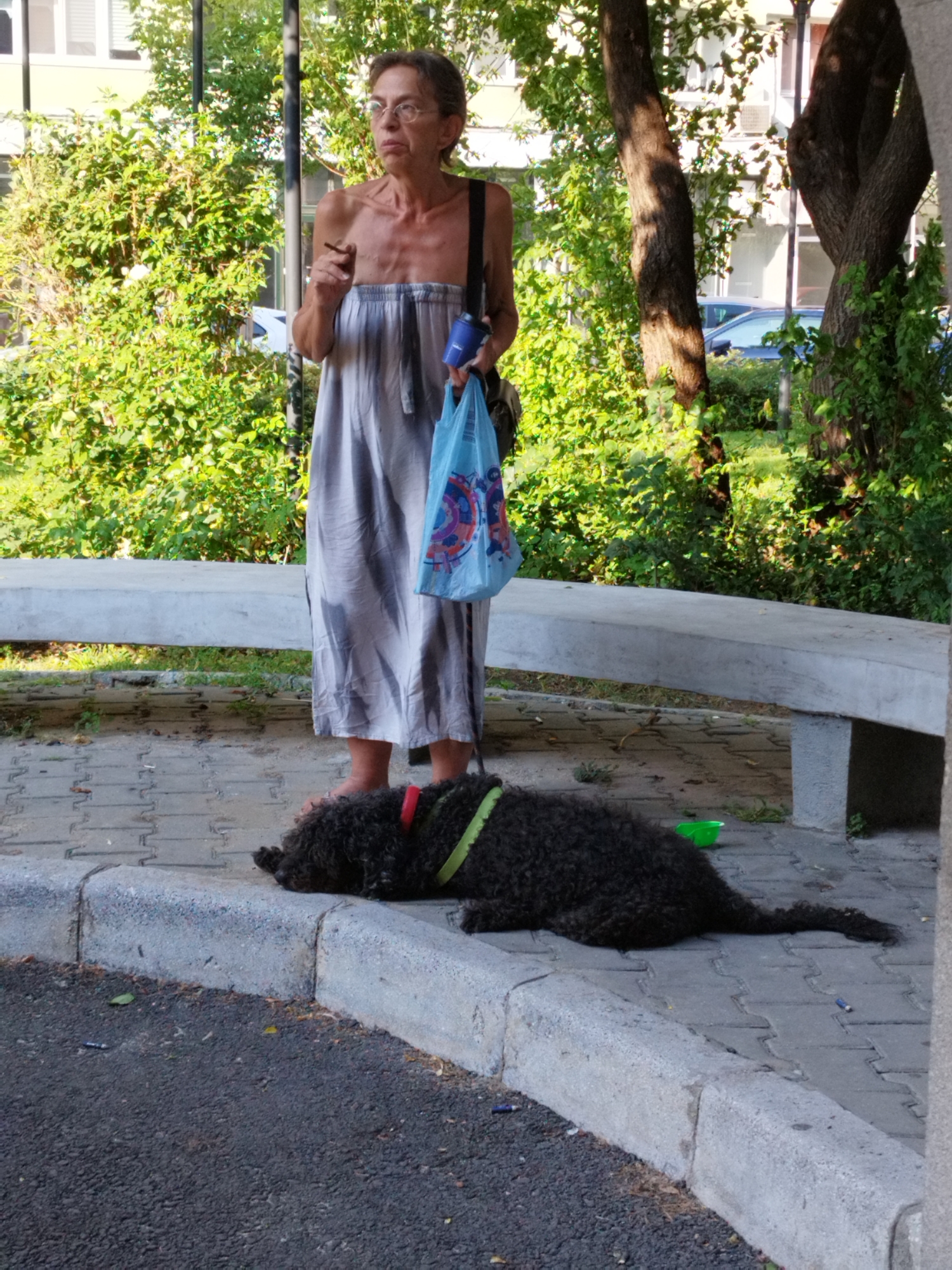 The image depicts a scene in Bucharest, Romania. In the foreground, a black poodle-like dog lies on the ground near a curb, wearing a red collar and a green leash. The dog is positioned on a paved area composed of interlocking grey stones. To the left of the dog, a curb separates the paved area from a dark asphalt surface.
Standing on the paved area, to the left of the dog, is a woman wearing a long, light gray dress. She has glasses on and is holding a cigarette in her right hand. In her left hand, she carries a blue plastic bag with an abstract design. Behind the woman and the dog, a concrete bench runs horizontally across the scene. The background is filled with dense green foliage and trees, suggesting an outdoor urban park or a residential area with ample greenery. In the background, parts of buildings and a parked blue car are visible. The lighting indicates it is daytime, with sunlight filtering through the trees.