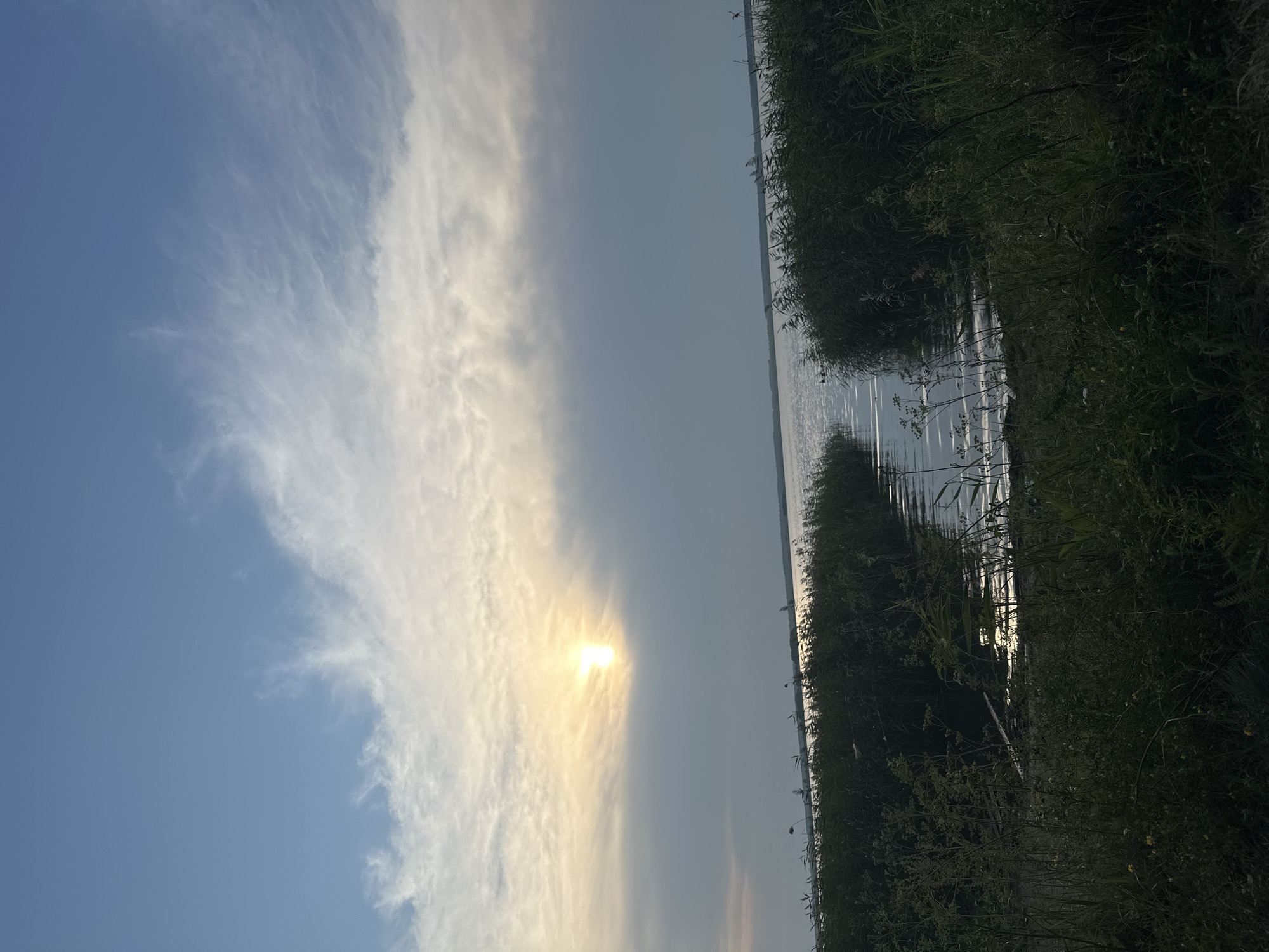 A vertical shot captures a serene natural landscape, likely in the city of Sokolovka, Kazakhstan. The scene is dominated by a wide body of water, possibly a lake or slow-moving river, bordered by dense reeds and vegetation. The sky is a blend of pale blue and grey clouds, with the sun peeking through, casting a soft, diffused light and creating a shimmering reflection on the water's surface. The foreground is filled with dark, lush foliage, suggesting it's either early morning or late evening, with the sun setting or rising low on the horizon. No people or man-made structures are immediately visible, emphasizing the untouched, natural beauty of the location.