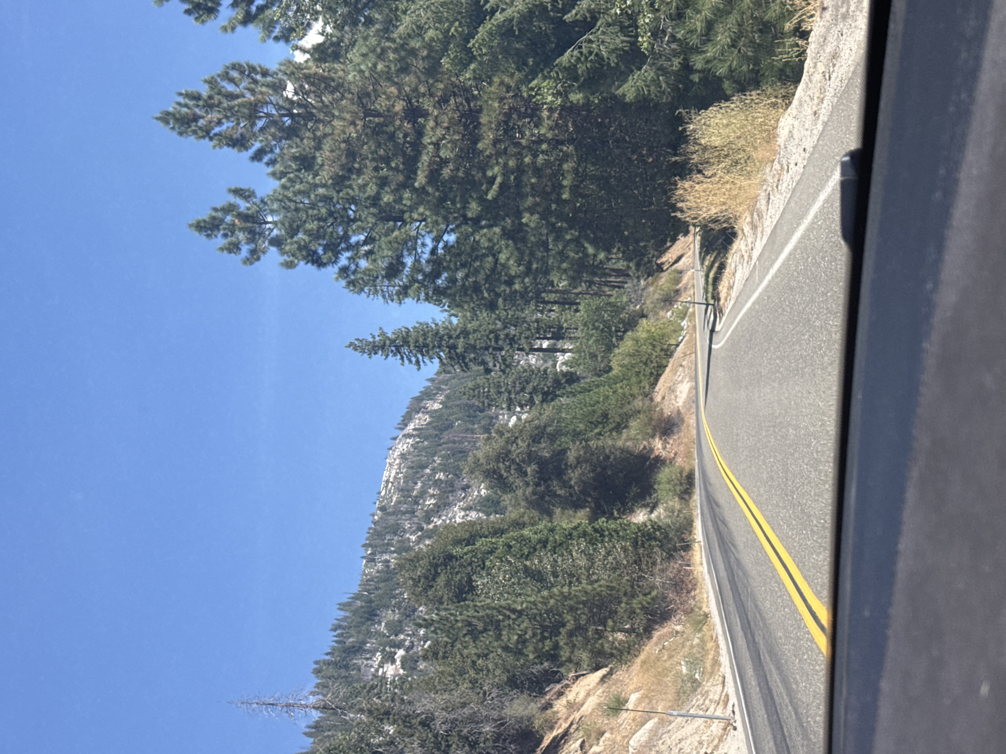 This image depicts a scenic view from a vehicle traveling on a paved road in a mountainous, forested area. The road, marked with double yellow lines, curves to the right and upwards into a dense forest of pine trees. The terrain is steep, with rocky slopes and dry vegetation lining the roadside. In the background, a large mountain face covered in trees and scattered rocks is visible under a clear blue sky. The perspective suggests the photo was taken from the driver's or passenger's seat, looking forward and slightly to the left. There are no people or animals visible in the frame. The environment is natural and wild, indicative of a rural or national park setting.