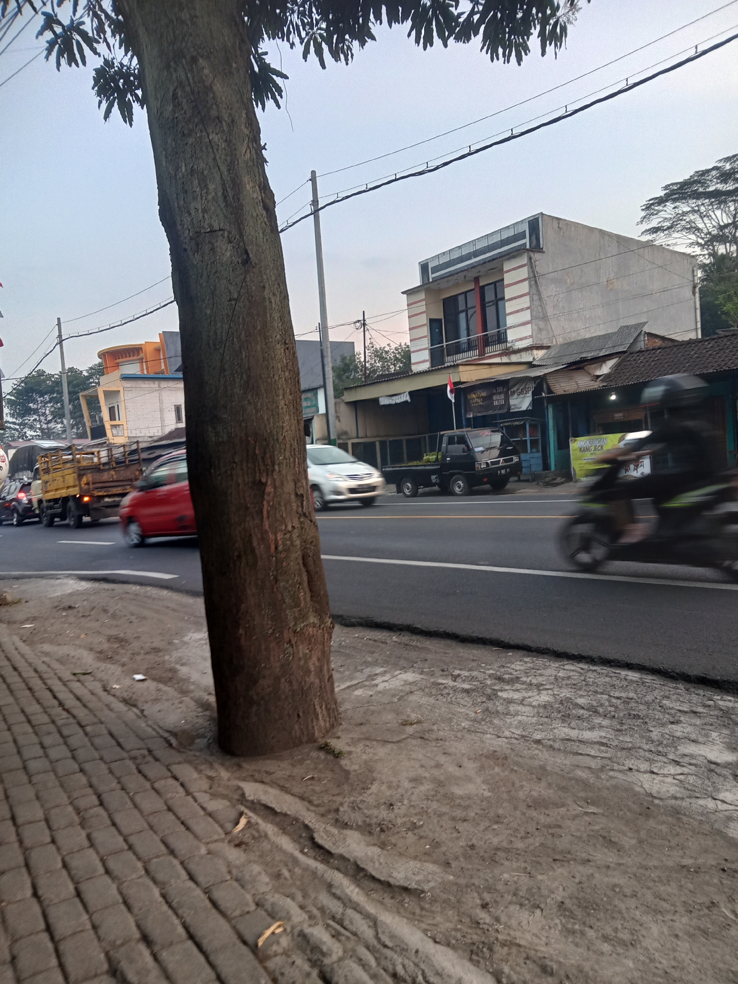 The image depicts a street scene in Tegalrejo, Indonesia, on an overcast day. In the foreground, a large tree trunk stands prominently on the left side of the frame, with a paved sidewalk extending from its base. The sidewalk is constructed of grey rectangular paving stones, with some patches of dirt and debris.
The street itself is paved with asphalt and shows signs of traffic. Several vehicles are visible: a yellow truck with a load of what appears to be produce, a red car, a white sedan, and a black pickup truck. A motorcycle with a rider wearing a helmet is also in motion, blurred by speed. The vehicles are traveling in the same direction.
In the background, buildings line the street. One building is a multi-story structure with a light-colored facade, featuring prominent windows and balconies. Other structures appear to be single-story shops or houses with various roof styles. Overhead power lines stretch across the scene, supported by poles. Vegetation, including trees with dark green leaves, is visible in the distance. The overall impression is that of a busy, everyday street in a populated area.