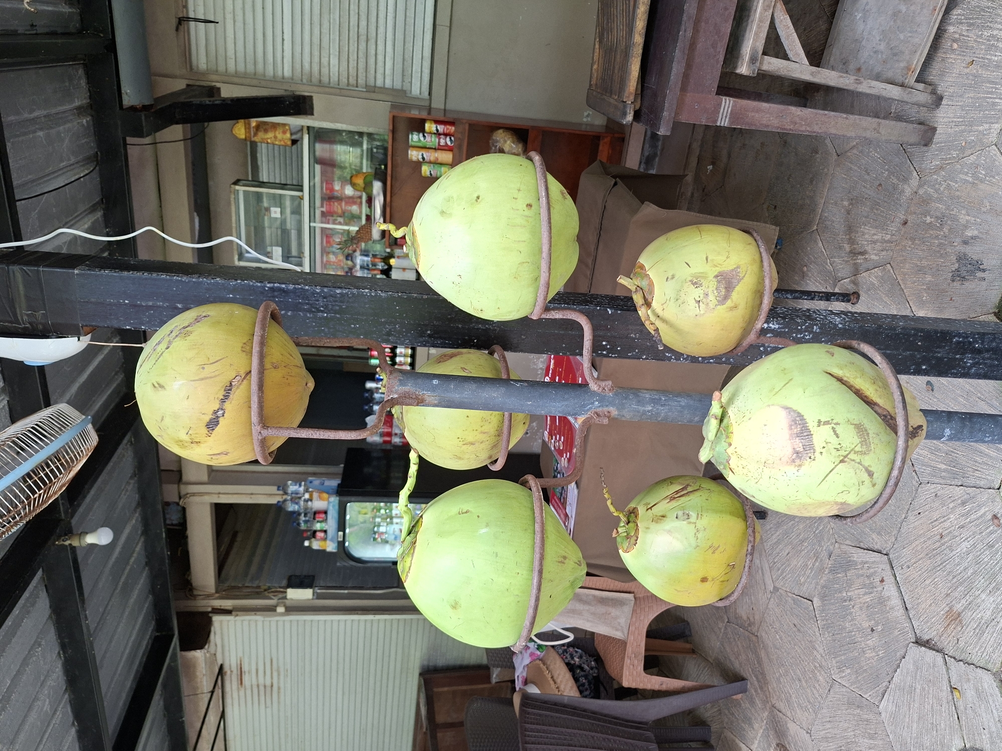 Seven coconuts are suspended from a horizontal black metal bar by curved, rusted metal hangers. The coconuts vary in color from green to yellow. In the background, there is a store with shelves of items visible through the windows. A wooden table and chairs are visible on the right side of the frame. The scene is located in Kuta Selatan, Indonesia. The ground is paved with hexagonal stone tiles.