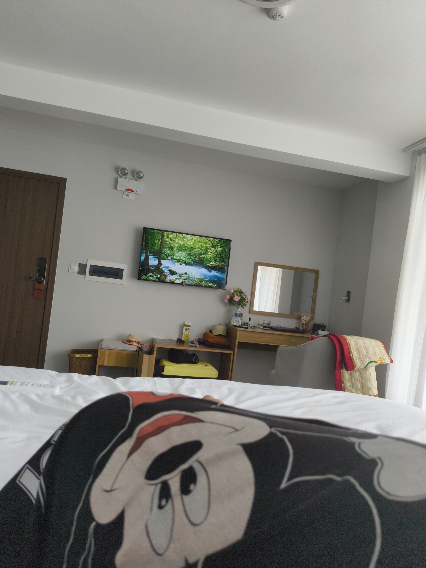 The image depicts a bedroom, likely in a hotel, with a bed in the foreground covered in white linens. A portion of a duvet or blanket featuring a large Mickey Mouse graphic is visible in the lower left corner, partially covering the bed.
In the background, a wall is painted a neutral gray. Mounted on the wall is a flat-screen television displaying a serene landscape of a forest with a flowing blue river. To the left of the television is a white electrical panel. Above the television, an emergency light fixture with two circular lights and a red component is mounted on the wall. Adjacent to the door on the left is a dark wooden door with a silver handle and a red "Do Not Disturb" sign hanging from it.
Below the television, a wooden shelf unit holds several items. These include a brown woven laundry basket, a small wooden drawer unit with a white lid and a red-trimmed hat, a yellow suitcase, and a black electronic device. To the right of the television, a wooden vanity desk with a mirror above it is visible. On the desk are a vase of pink flowers, a glass of liquid, and other small items. A gray armchair draped with a quilted blanket featuring red and yellow accents sits beside the desk. A sheer white curtain covers a window to the far right of the image.
The scene suggests a domestic or hospitality setting within Phu Thuy Ward, Vietnam.