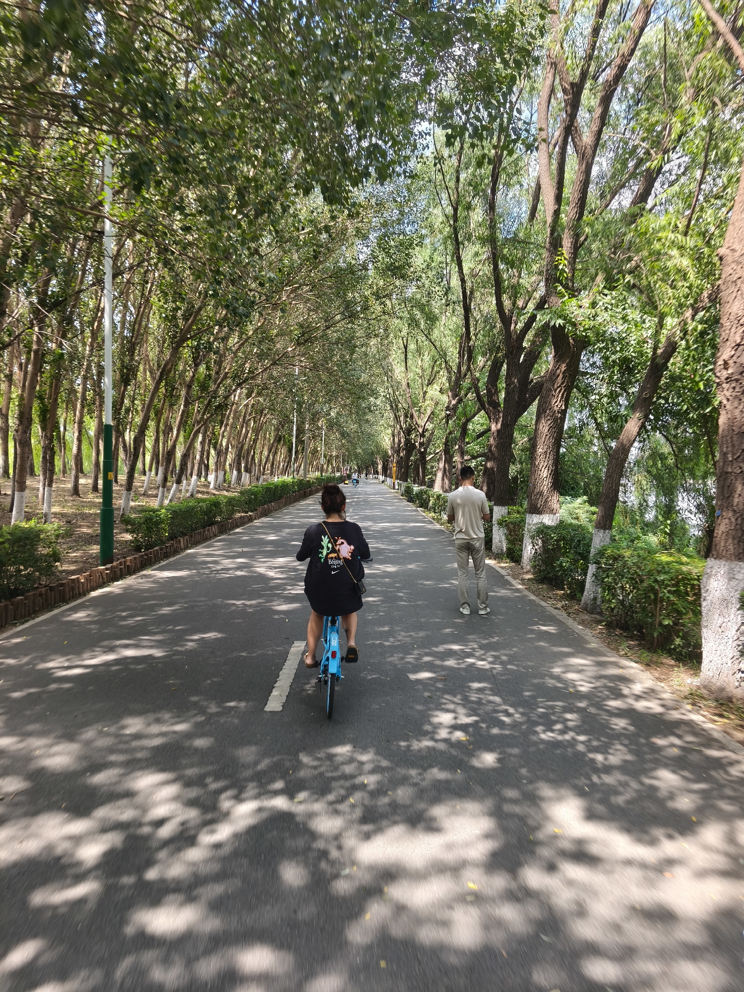 This image depicts a paved pathway lined with trees, likely in a park or along a waterfront in Heping District, China. The pathway is shaded by a dense canopy of green leaves, casting dappled sunlight on the asphalt. On the left side of the path, there are manicured bushes and a wooden fence. On the right, the trees continue, with some of their lower trunks painted white.
In the foreground, a person is riding a blue bicycle away from the camera. They are wearing a black t-shirt with a graphic design and sandals. Further down the path, another person is walking away from the camera, wearing a light-colored t-shirt and pants. In the distance, other individuals can be seen on bicycles, suggesting the pathway is a popular spot for recreational activities. The overall scene conveys a sense of peace and natural beauty within an urban setting.