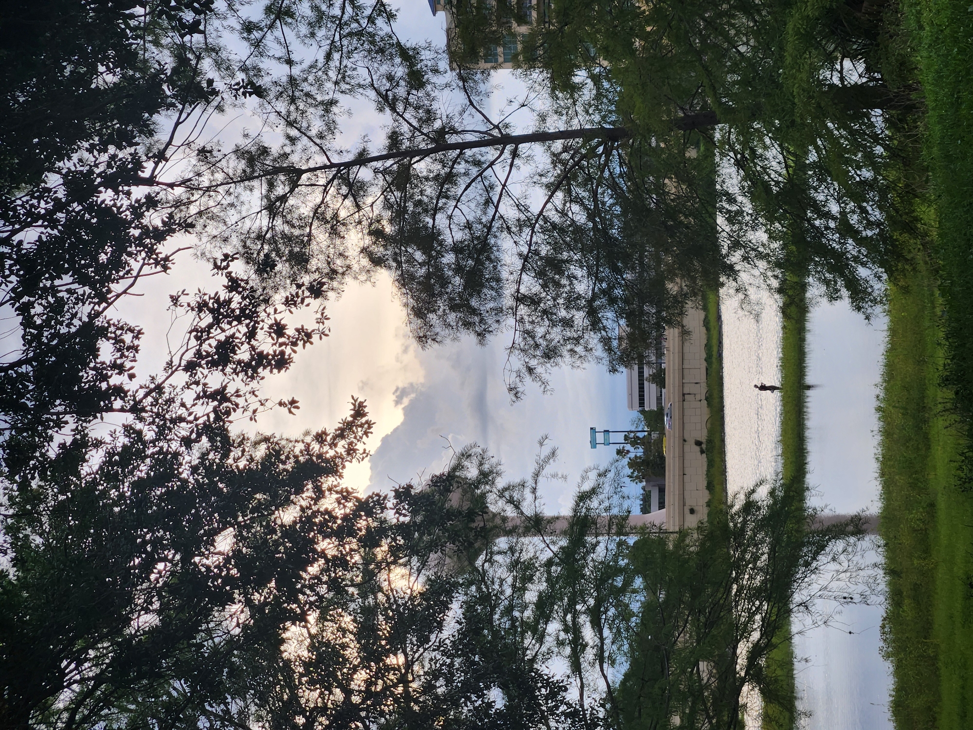 The image captures a tranquil waterside scene framed by trees in Altamonte Springs, Florida. In the foreground, lush green grass borders a calm body of water that reflects the sky. Across the water, a narrow strip of land extends out, on which a lone figure is standing, appearing to be fishing. In the background, a prominent water tower stands tall, a characteristic landmark of the city. Further in the distance, buildings and infrastructure are visible, suggesting an urban environment adjacent to the natural setting. The sky is a mix of clouds and clear sky, with sunlight filtering through, creating a soft, diffused light. The overall impression is one of peaceful coexistence between nature and urban development.