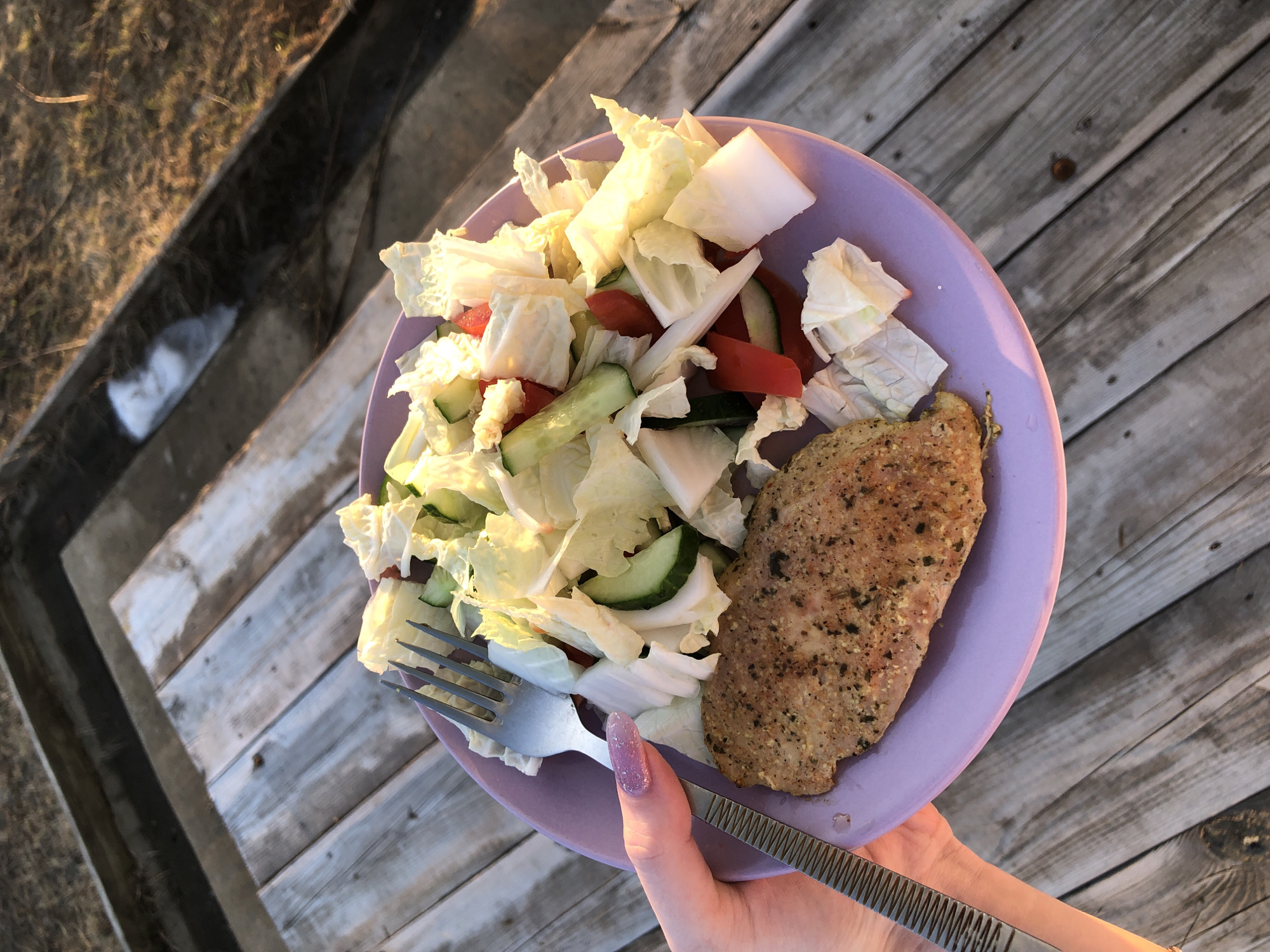 A human left hand, featuring glittery lavender nail polish, holds a light purple circular plate containing a meal. The plate holds a piece of seasoned, cooked meat (likely poultry or pork) and a fresh salad composed of chopped Chinese cabbage, sliced cucumber, and strips of red bell pepper. A silver-colored metal fork with a textured handle rests on the salad. The scene is outdoors, with the plate held above a weathered, grey wooden plank surface, possibly a deck or outdoor table. In the background, dry, light-brown vegetation is visible, along with dark linear ground features and a patch of white, consistent with residual snow or ice, suggesting a cold season. A concrete or stone structure is partially visible in the upper left background. The lighting is strong and low-angled, indicative of early morning or late afternoon. The location is Noviy, Russia.