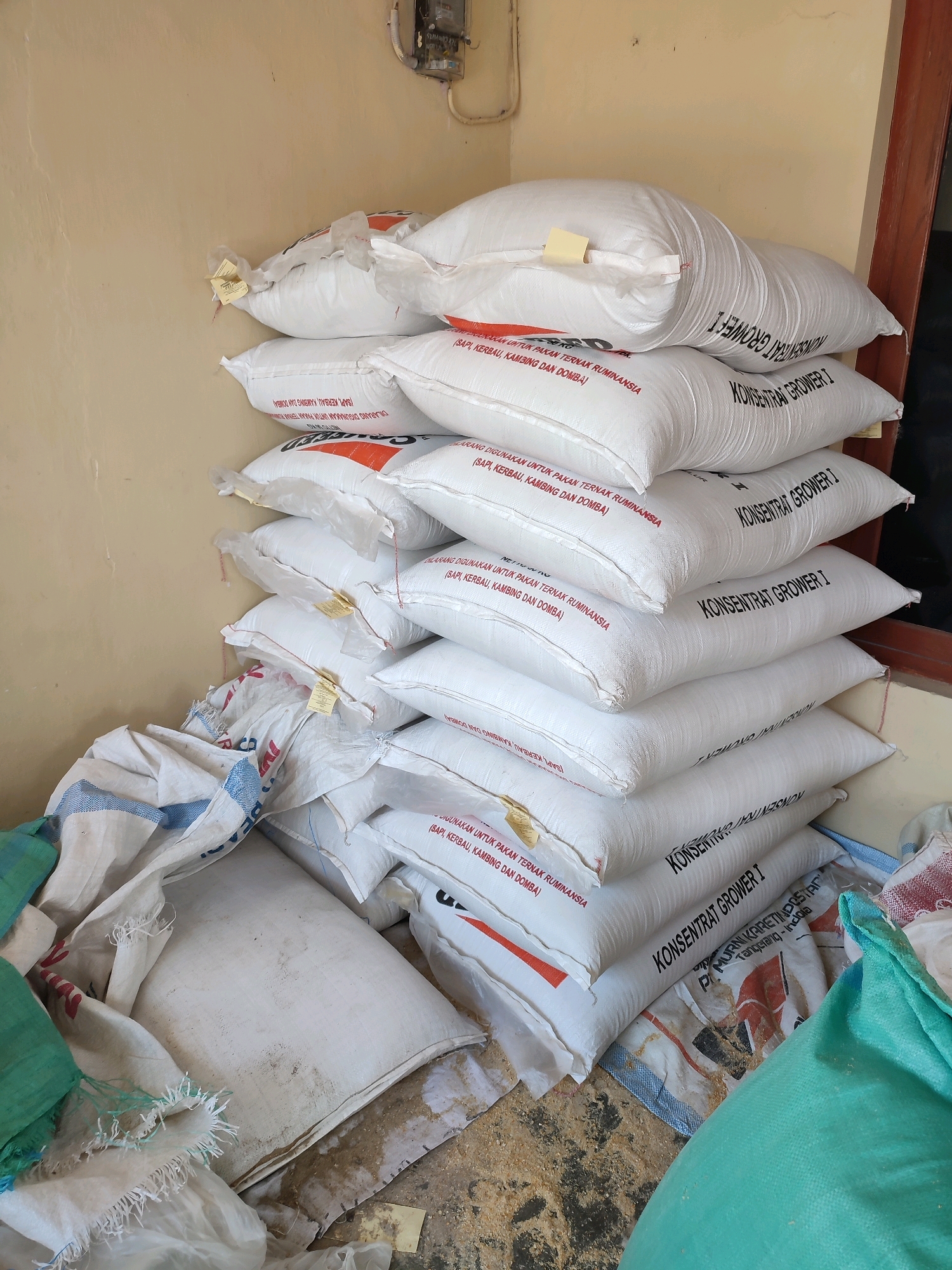 A stack of white sacks, presumably containing animal feed, is piled against a textured, light-yellow wall. The sacks are densely packed, with the topmost ones showing printed text in black and red. Some of the visible text reads "KONSENTRAT GROWER I" and "DILARANG DIGUNAKAN UNTUK PAKAN TERNAK RUMINANSIA (SAPI, KERBAU, KAMBING DAN DOMBA)". The sacks appear to be made of a woven material. To the left of the stack, there are several other sacks, some white and blue striped, and one partially visible green sack, lying on the floor. The floor itself is covered with wood shavings or similar granular material, with some darker patches indicating dirt or moisture. A metal electrical meter box is mounted on the wall above and to the left of the sack pile. A wooden door frame is visible on the right side of the image. The scene appears to be an indoor storage area, possibly a barn or feed shed, in the city of Salam, Indonesia. There are no people present in the image.