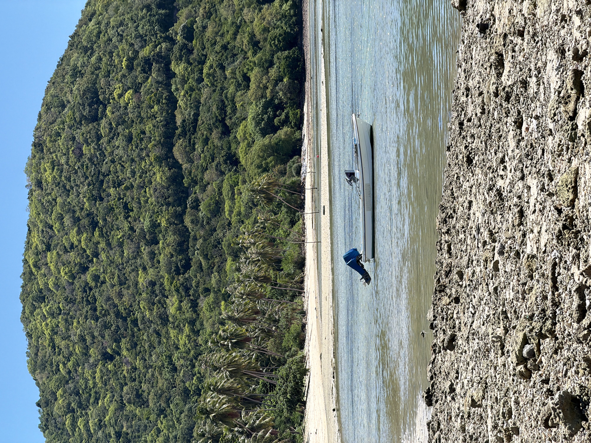 A motorized white boat is anchored in shallow, clear water off a tropical coastline. The boat has a blue outboard motor. In the background, a sandy beach is lined with palm trees. Beyond the beach, a lush green, tree-covered hill rises steeply under a bright blue sky. The foreground of the image consists of a rocky, debris-strewn shoreline. The location is Baan Thong Krut, Thailand.