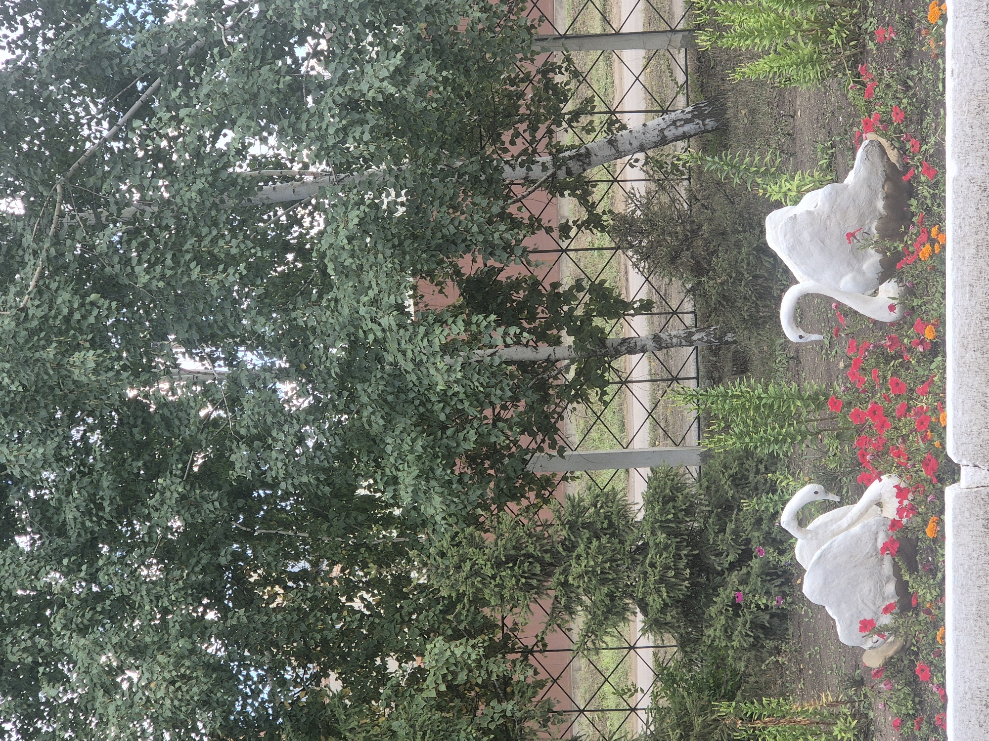 The image depicts a park-like setting with mature trees and a decorative garden bed. In the foreground, two white swan sculptures are situated amidst a vibrant display of red and orange flowers. The swans appear to be made of a plaster-like material and are sculpted in a seated or resting position. Behind the garden, a metal fence with a diamond pattern is visible, separating the garden area from a pathway and more greenery beyond. Several trees, including birch trees with their distinctive white bark and a darker evergreen tree, form a backdrop. In the far background, a pinkish-brown building with visible window outlines can be seen through the foliage and fence. The overall scene suggests a well-maintained public space. This location is identified as being in the city of Kokshetau, Kazakhstan. There are no people present in the image.