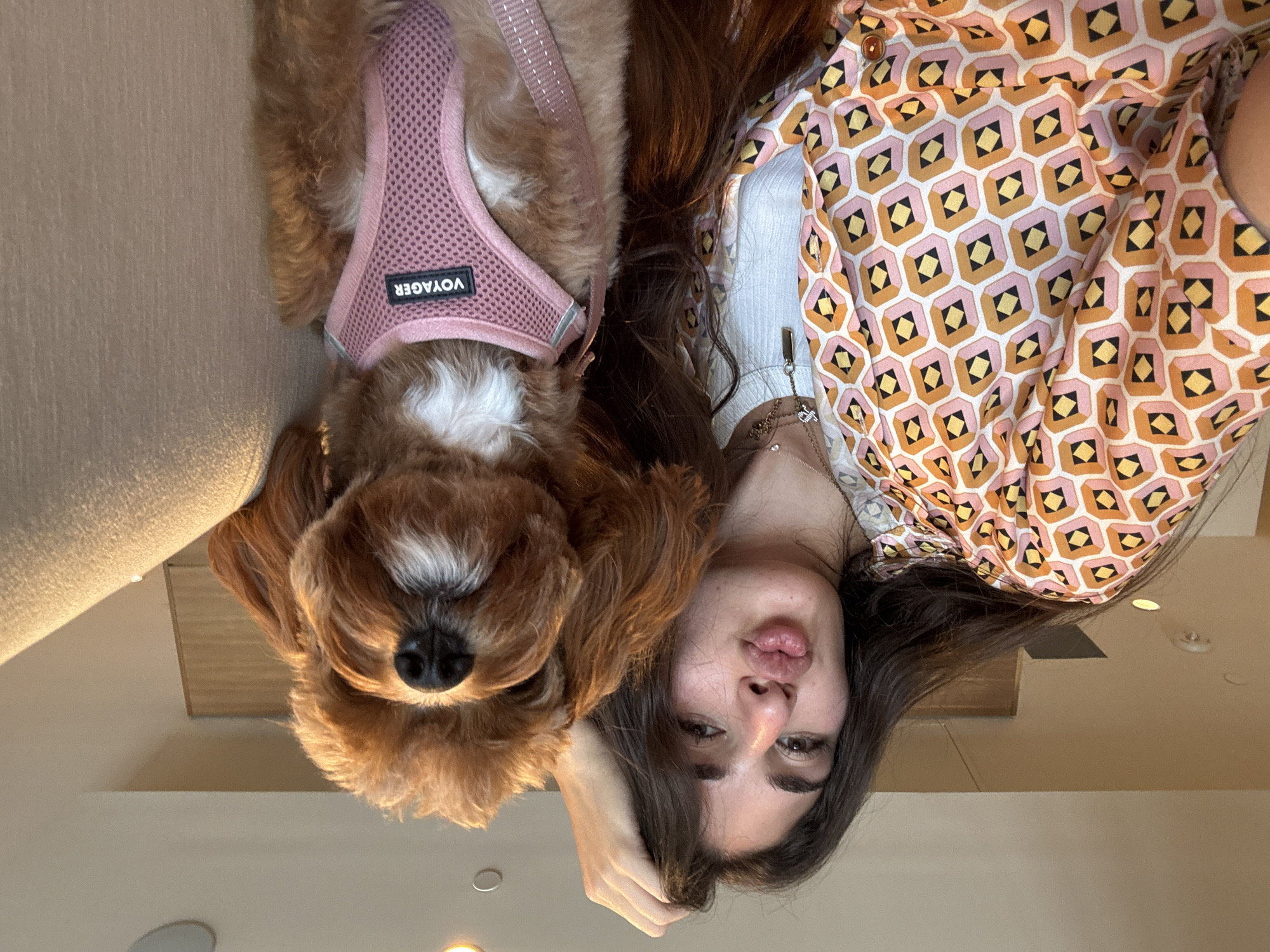 In Boca Raton, Florida, a young woman with long, dark hair is posing for a selfie with a small, reddish-brown dog. The woman is wearing a white ribbed tank top layered under a short-sleeved, collared shirt with a geometric pattern of pink, orange, and black diamonds on a white background. She has a hand on the top of her head, and her lips are pursed in a kissy face. The dog, which appears to be a Cavapoo or similar breed, is wearing a pink mesh harness with a black label that reads "VOYAGER." The dog is looking directly at the camera with its fluffy face and has a white patch of fur on its chest. They are seated on a neutral-toned sofa, likely in a home or hotel setting. The background is out of focus, showing what appears to be a wall and ceiling with lighting fixtures.