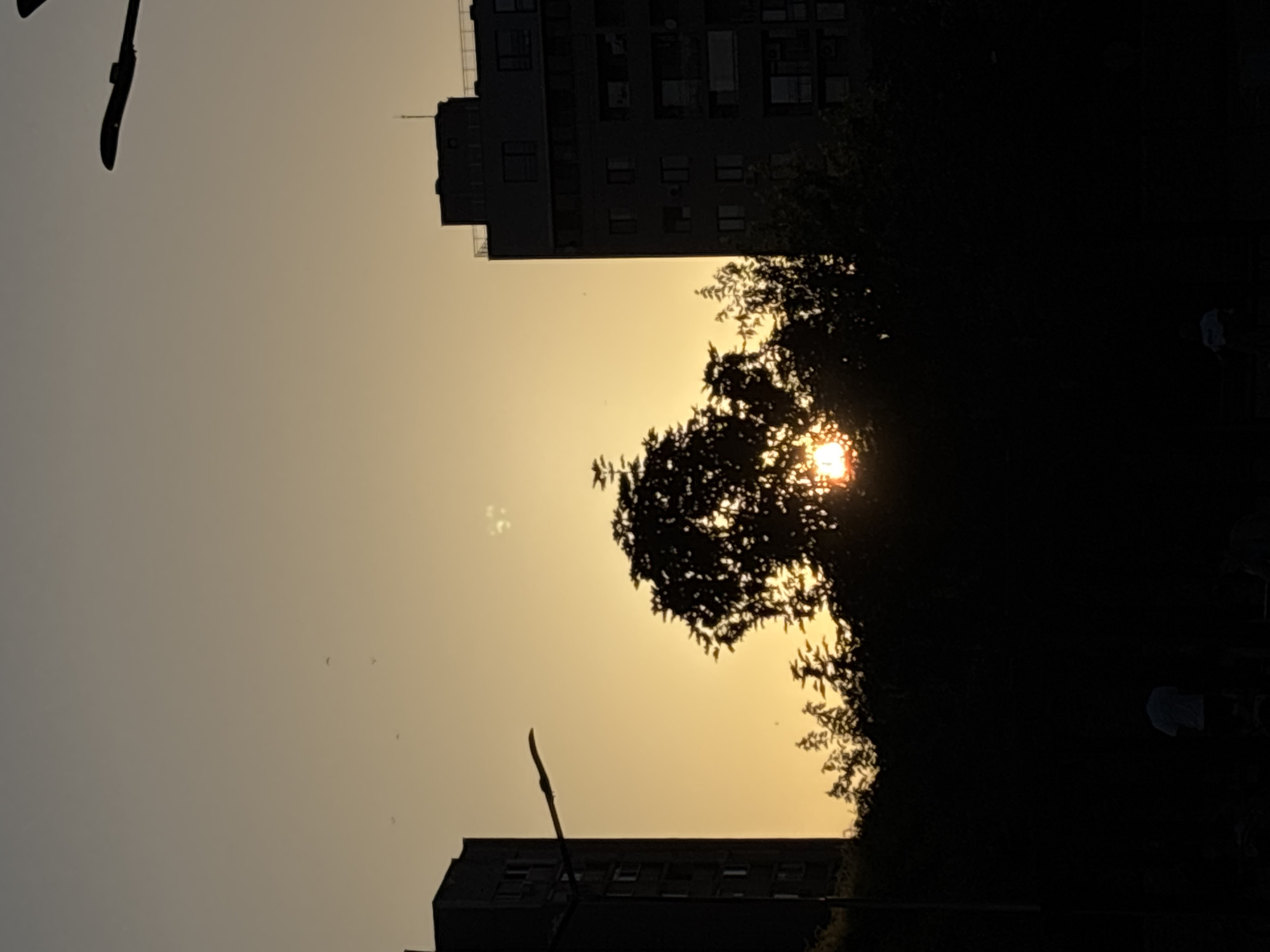 The image captures a silhouetted sunset scene in an urban environment. Two tall buildings flank a central area dominated by the dark silhouettes of trees. The sun, a bright orb, is partially obscured by the foliage, casting a warm golden glow across the sky. In the foreground, the silhouettes of several individuals are visible, standing or sitting in what appears to be a park or open space. A streetlamp is visible in the upper right of the frame, silhouetted against the sky. The overall mood is serene, with the natural beauty of the sunset contrasting with the man-made structures of the city.