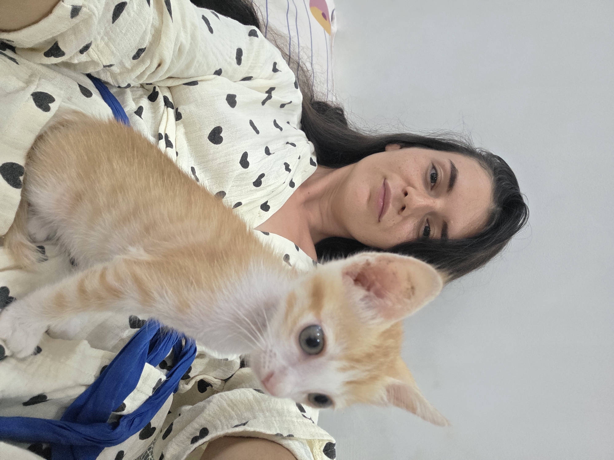 A fair-skinned woman with dark hair lies on a patterned duvet, a small ginger kitten stands in front of her. The location of the image is not discernible as Mũi Né, Vietnam.