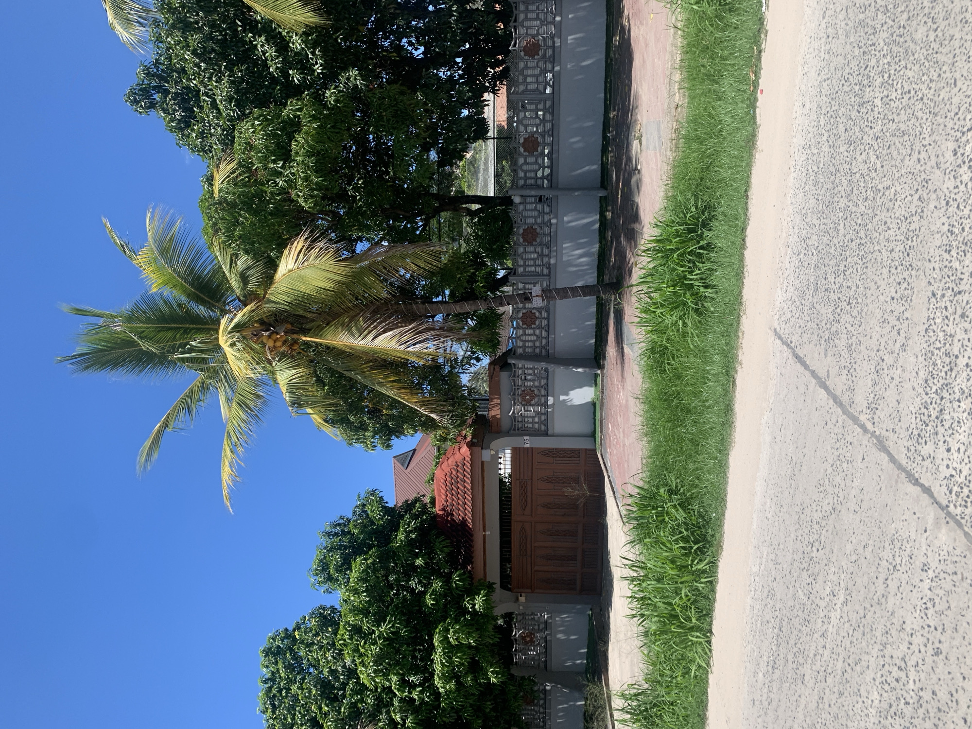 This image captures a vibrant, sunny daytime scene along a residential street in Dar es-Salaam, Tanzania. The setting features a combination of lush tropical vegetation and residential architecture.
On the left side of the frame, a house is partially visible, characterized by a reddish-brown tiled roof and a large, intricately carved dark wooden gate. A decorative concrete fence, featuring gray panels with square-patterned cutouts, extends along the property boundary. Adjacent to the wooden gate, a small white sign with the number "75" is affixed to a fence post.
Dominating the left and central parts of the image are several large trees. A prominent coconut palm tree, laden with coconuts, stands tall with its fronds extending into a clear, bright blue sky. Other dense green trees, consistent with mango trees common in the region, surround the house and line the street.
To the right, a paved road, appearing to be asphalt or similar material, stretches into the distance. A strip of vibrant green grass acts as a verge, separating the road from a sidewalk made of reddish-brown pavers that runs alongside the fence. The bright sunlight casts distinct shadows, indicating a clear and pleasant day. No people or specific activities are depicted, portraying a serene street view. The combination of architecture and tropical flora strongly reinforces the location context of Dar es-Salaam.