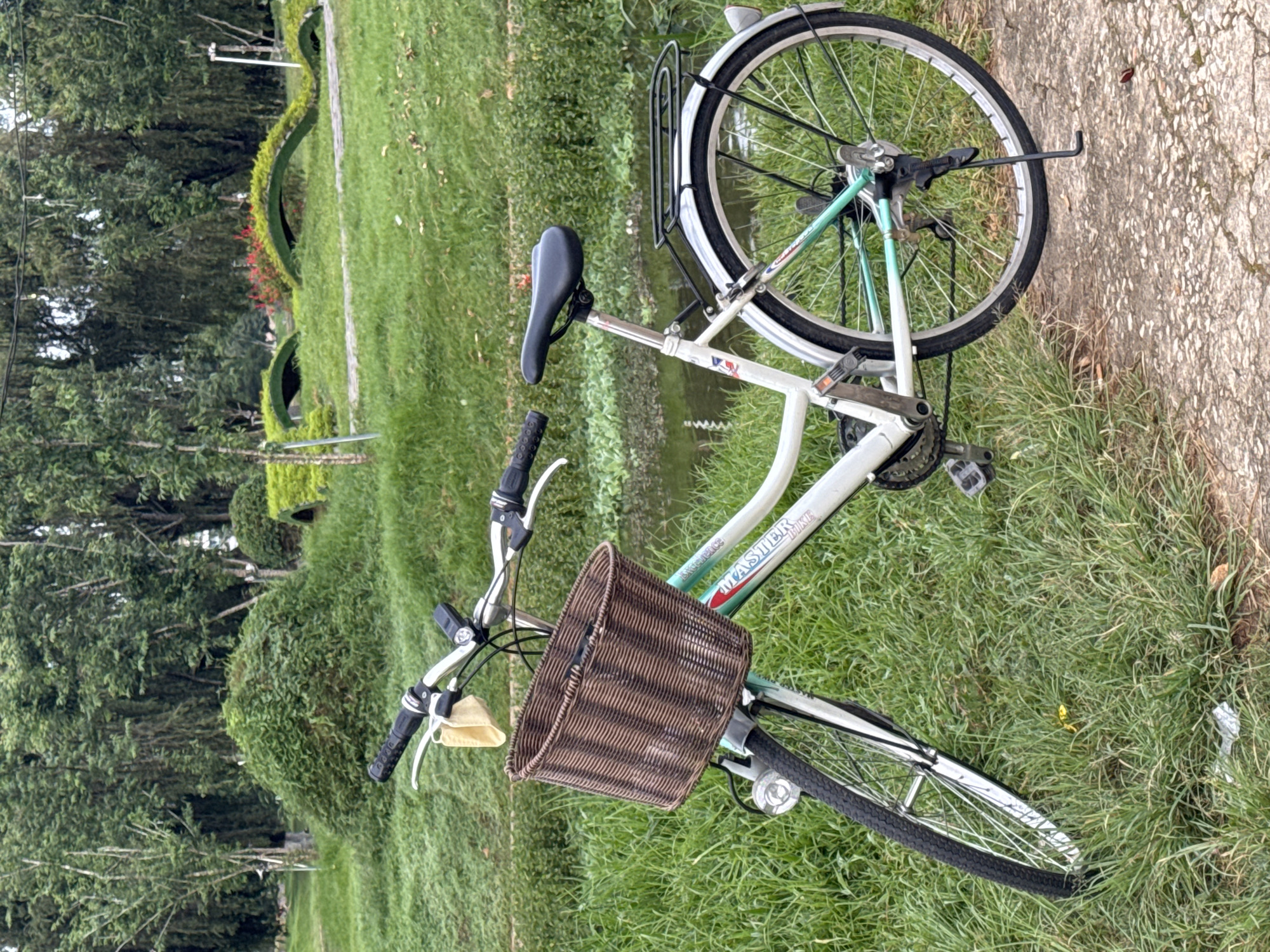 An upright, white bicycle with a brown wicker basket is parked on a concrete path next to a grassy area in Xuân Hương Lake Park, Đà Lạt, Vietnam. The bicycle is a step-through frame model with black handlebars, a black seat, and a black rear rack. A light-colored cloth is hanging from the handlebars. The background features lush green trees, manicured bushes, and a body of water. The lighting suggests it is daytime, possibly overcast. There are no people visible in the image.