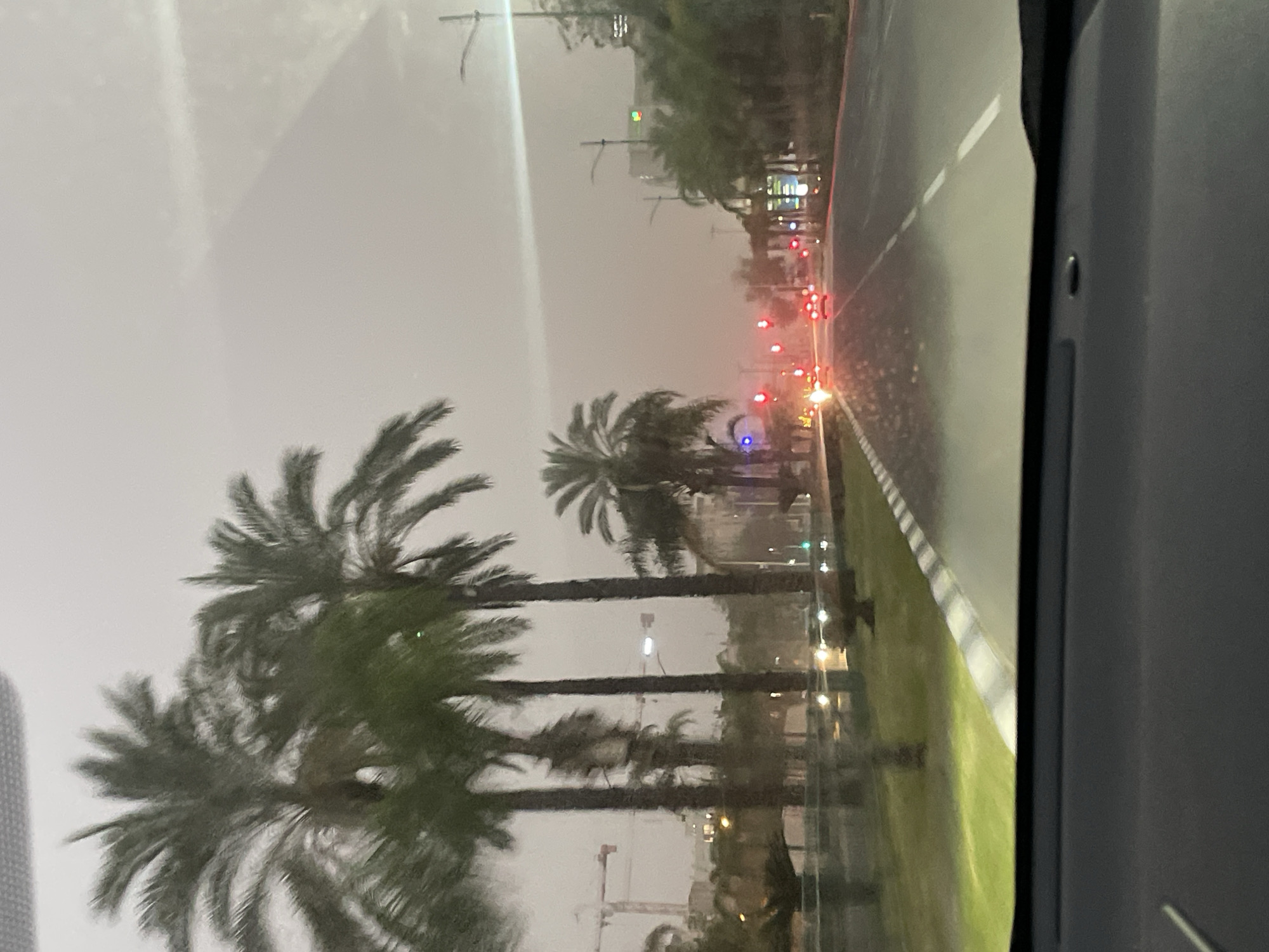 The image, taken from inside a car, depicts a street in Petah Tikva, Israel during overcast or rainy weather. Palm trees are visible on the left side of the street. The road has a median with greenery and appears wet, reflecting light from streetlights and traffic signals. Traffic is visible in the distance, with red brake lights illuminated. A construction crane is subtly visible amidst the trees. The car's interior is partially visible on the right side of the frame.