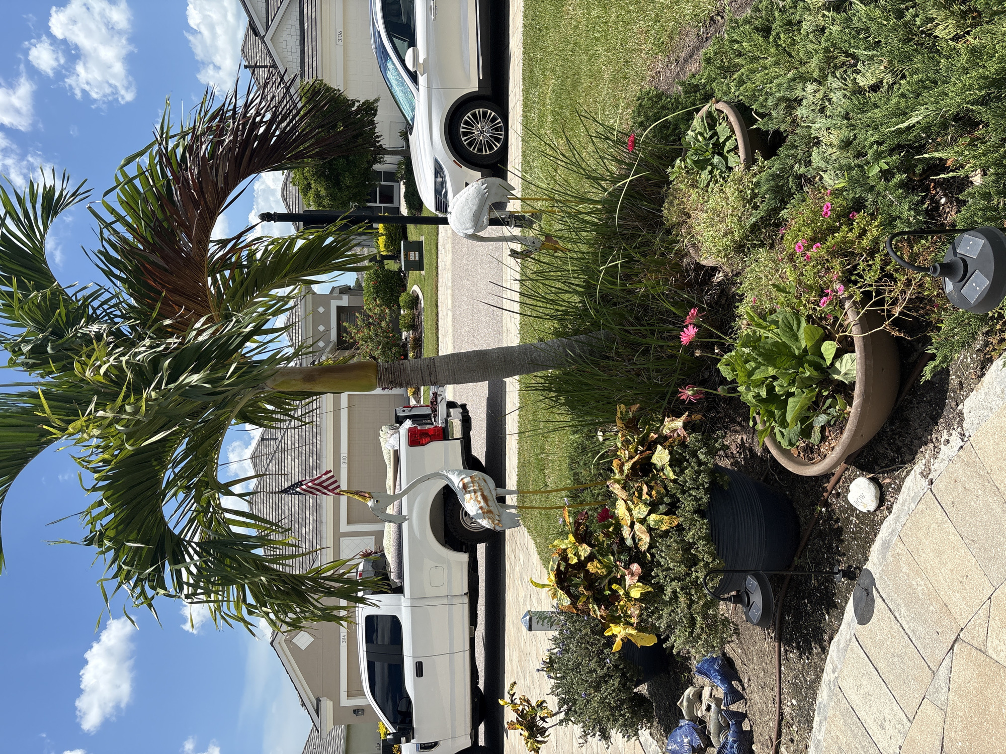 In Sarasota, Florida, a sun-drenched residential street scene unfolds. A white pickup truck, loaded with rolled-up carpets, is parked in front of a tan stucco house with a double garage. Next to it, a white sedan is parked in a driveway. A palm tree, partially showing browning fronds, stands in the foreground, adorned with a small American flag. In the yard, two metal crane-shaped garden ornaments are placed among lush greenery and potted plants. One crane stands tall, while the other is bent down as if foraging. The landscaping includes a variety of plants, flowers, and a solar-powered garden light. The sky is a clear blue with scattered white clouds.