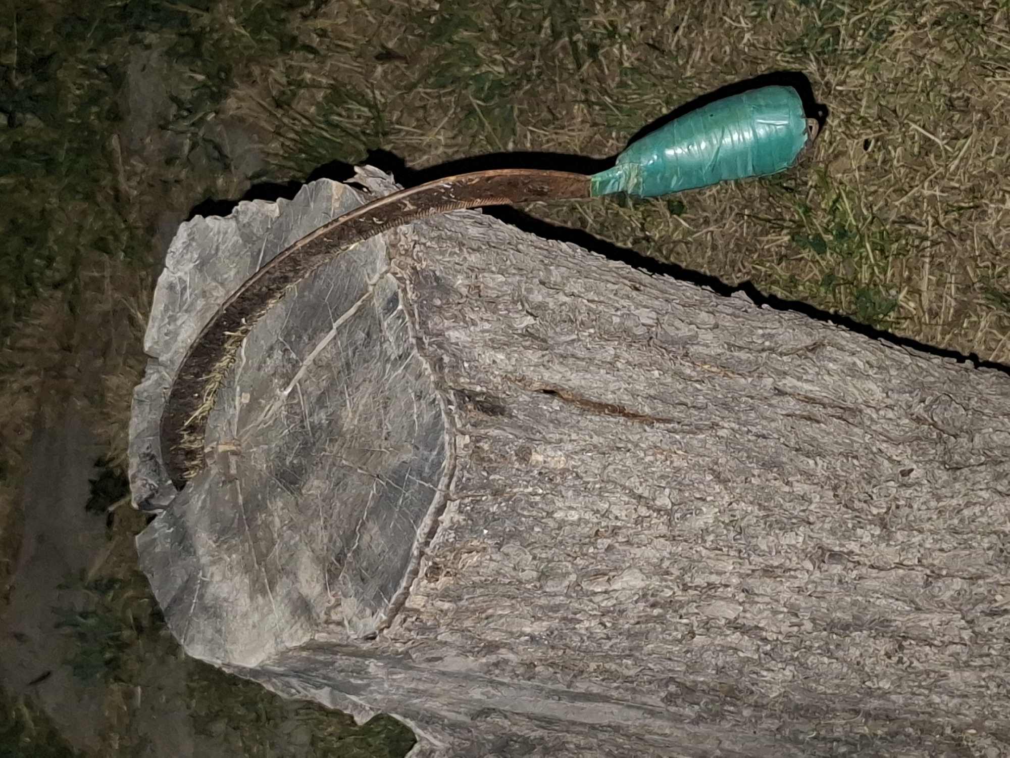 A sickle with a curved, rusted blade and a green taped handle rests on a thick tree stump. The stump is weathered and sits on uneven ground covered with dry grass and some green vegetation. The background is dark and appears to be outdoors at night. There are no people or animals visible in the image.