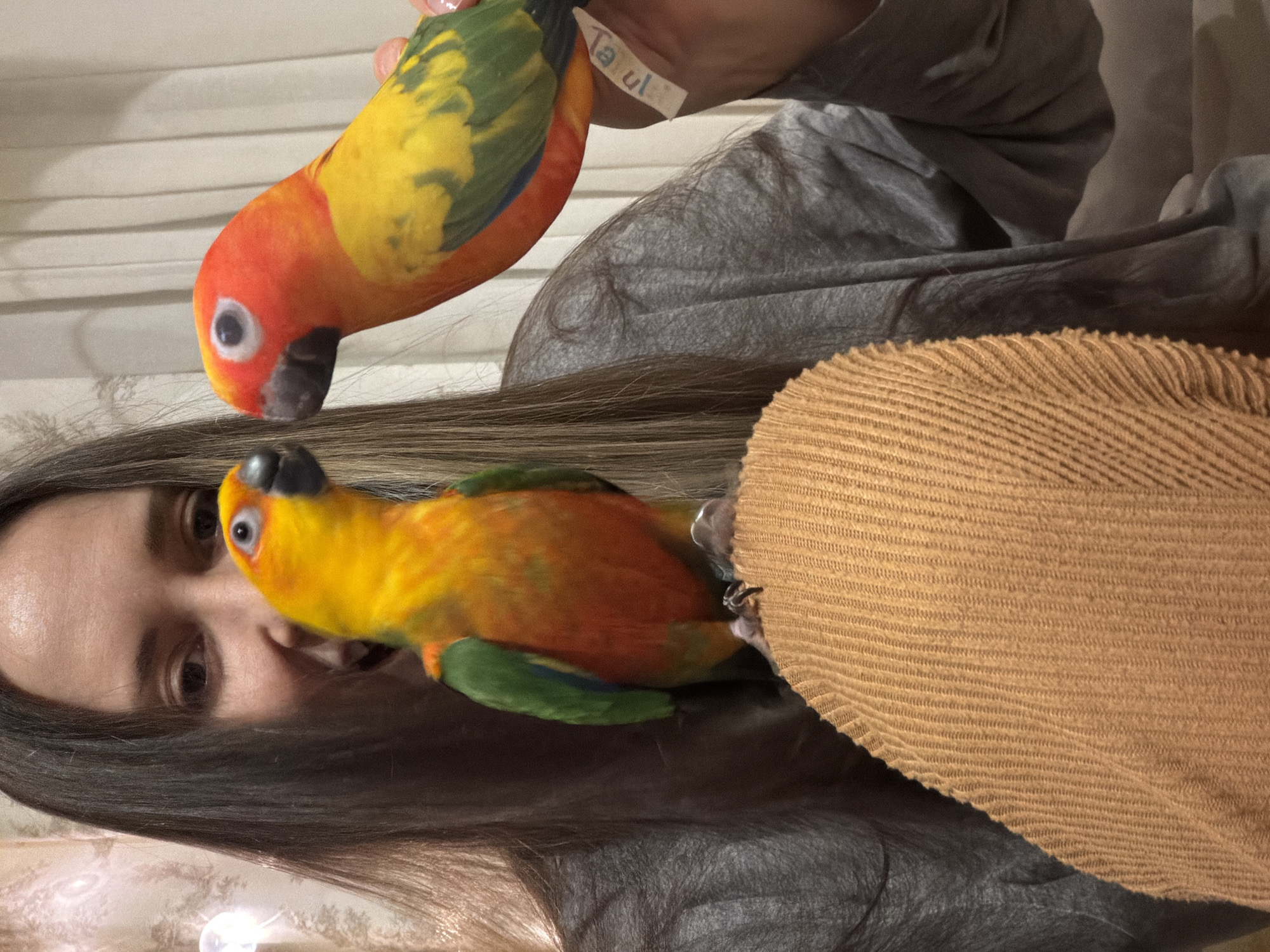 A person holds two orange, yellow, and green parrots. One parrot is perched on the person's shoulder and the other is in their hand. A tag is visible on the parrot being held. The location in the city of Khimki, Russia is not evident in this image.