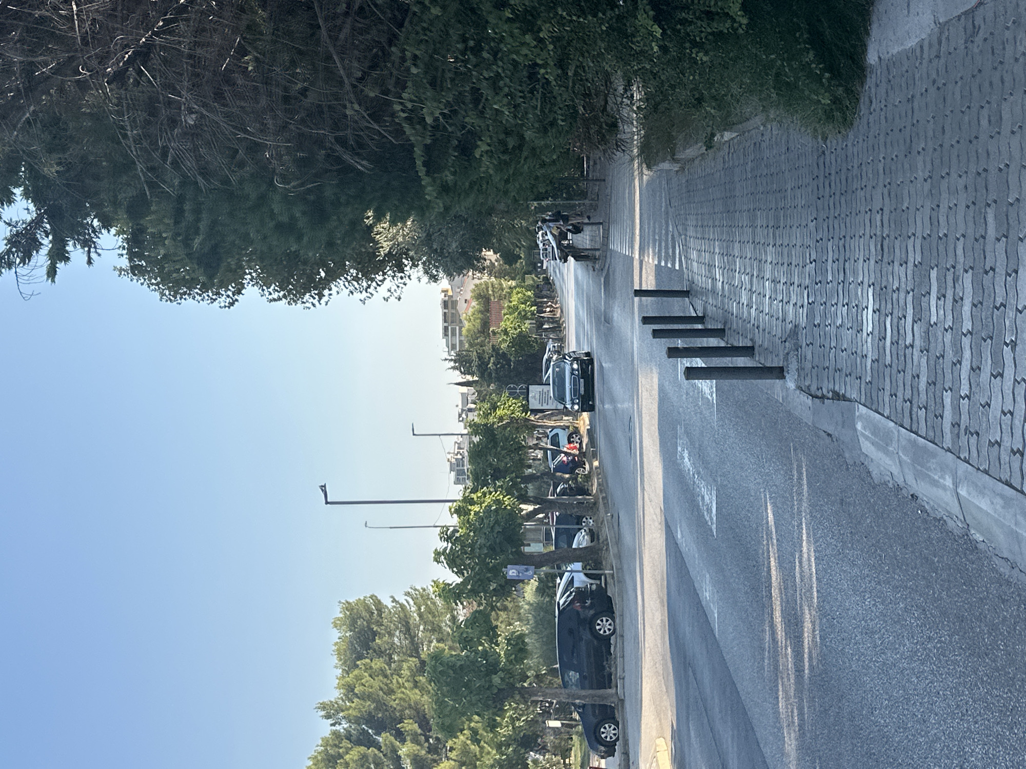 The image depicts a street scene in Budva, Montenegro, characterized by a clear blue sky and a bright, sunny day. The foreground features a paved sidewalk with a distinctive interlocking brick pattern, lined with dark metal bollards. Adjacent to the sidewalk is a road with a pedestrian crossing marked by white stripes. Sunlight casts shadows across the road.
On the left side of the road, a row of parked cars is visible, including a black SUV. A line of young trees with green foliage separates the parking area from the road. Further down the street, more trees and buildings can be seen in the distance.
On the right side of the image, a dense, dark green tree with thick foliage and bare branches dominates the view, extending towards the top of the frame. A person is standing on the sidewalk, partially obscured by the trees. Streetlights are visible in the background. The overall scene suggests a typical urban environment on a pleasant day.