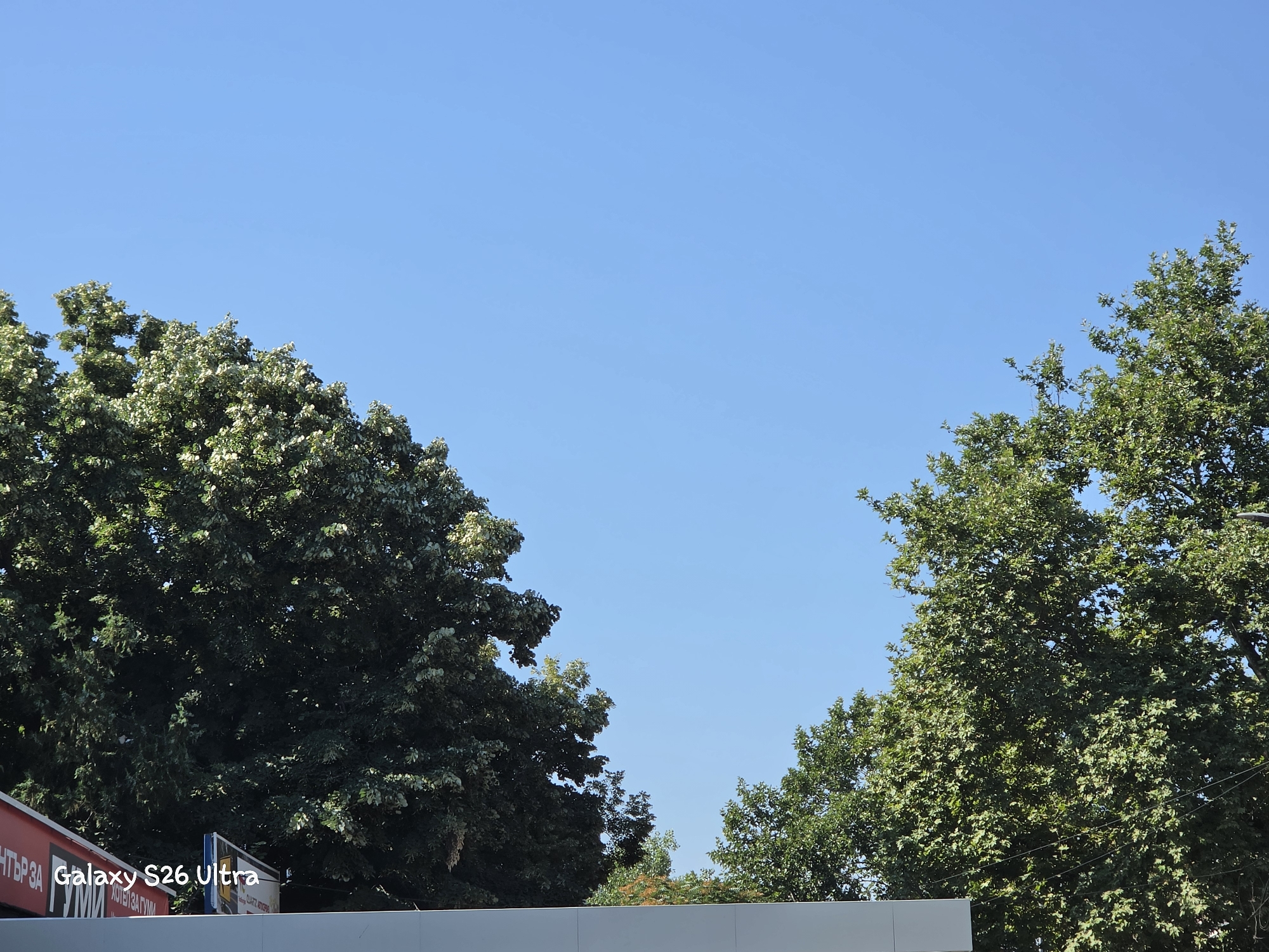The image is a close-up shot of a bright blue sky with the tops of two large trees on either side. The tree on the left is denser and darker green, while the tree on the right is lighter green with more visible foliage. Below the trees, a white structure is visible, along with parts of two red and white signs. The sign on the left has Cyrillic text that appears to read "ЧЕТВЪРЗА" and "Galaxy S26 Ultra" is overlaid on the image in the bottom left corner. This indicates the image was captured in Bulgaria, likely in an urban environment given the signs and structures. The scene suggests a sunny day, with the sky dominating the upper portion of the frame.