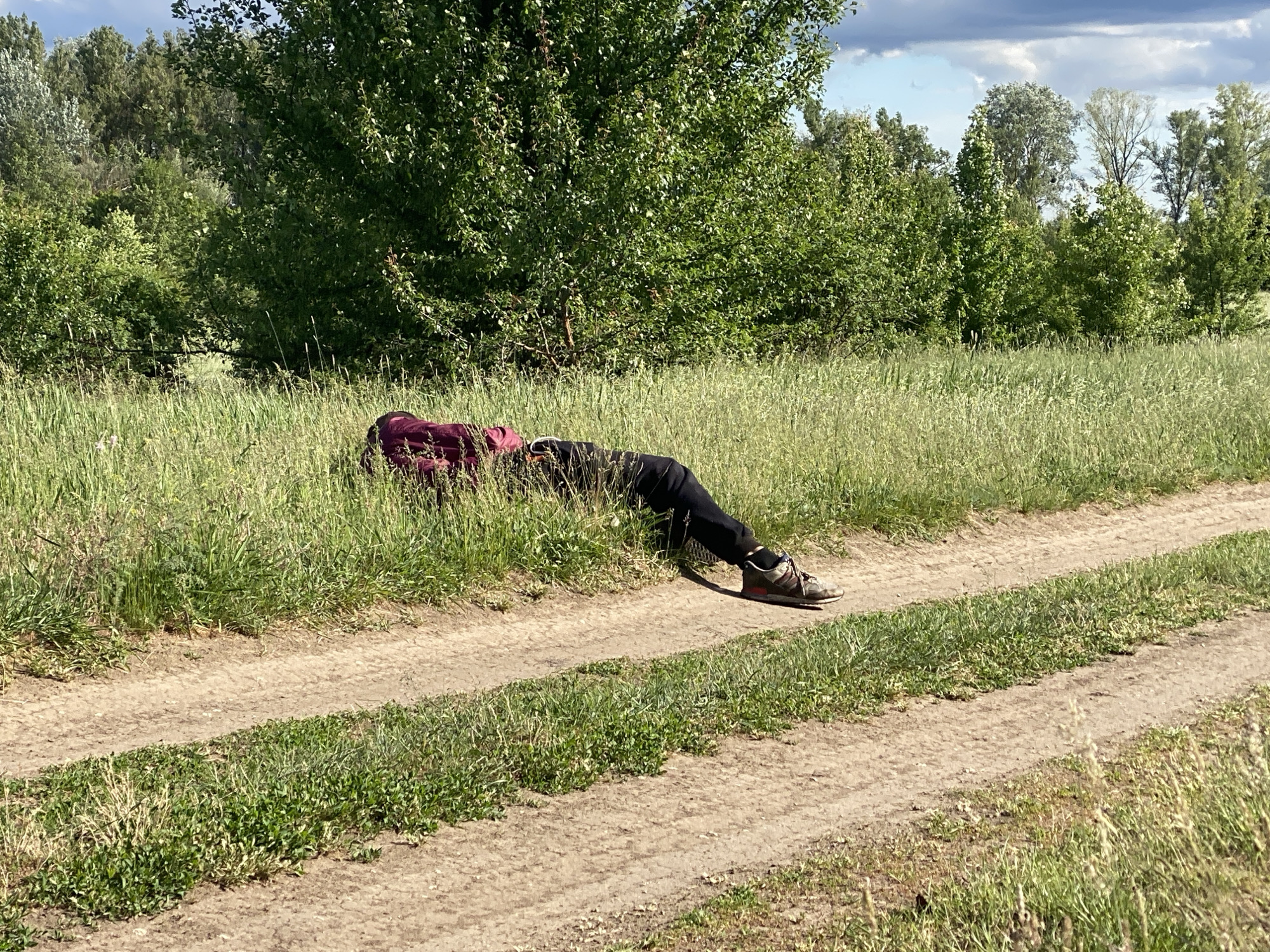 The image depicts a person lying in tall grass near a dirt road. The person is wearing a maroon or dark purple shirt, black pants, and sneakers. The road is dry and dusty, with tire tracks visible. The surrounding area consists of green vegetation, including trees and tall grass. The sky is partially cloudy. There is no information regarding the city of Ustyvytsia, Ukraine, in the provided image.