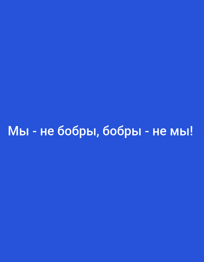 The image shows a blue background with the white text "Мы - не бобры, бобры - не мы!". This translates to "We are not beavers, beavers are not us!". There is no indication of a specific location, including the city of Фоки, Russia, or any other information beyond the text and background color.