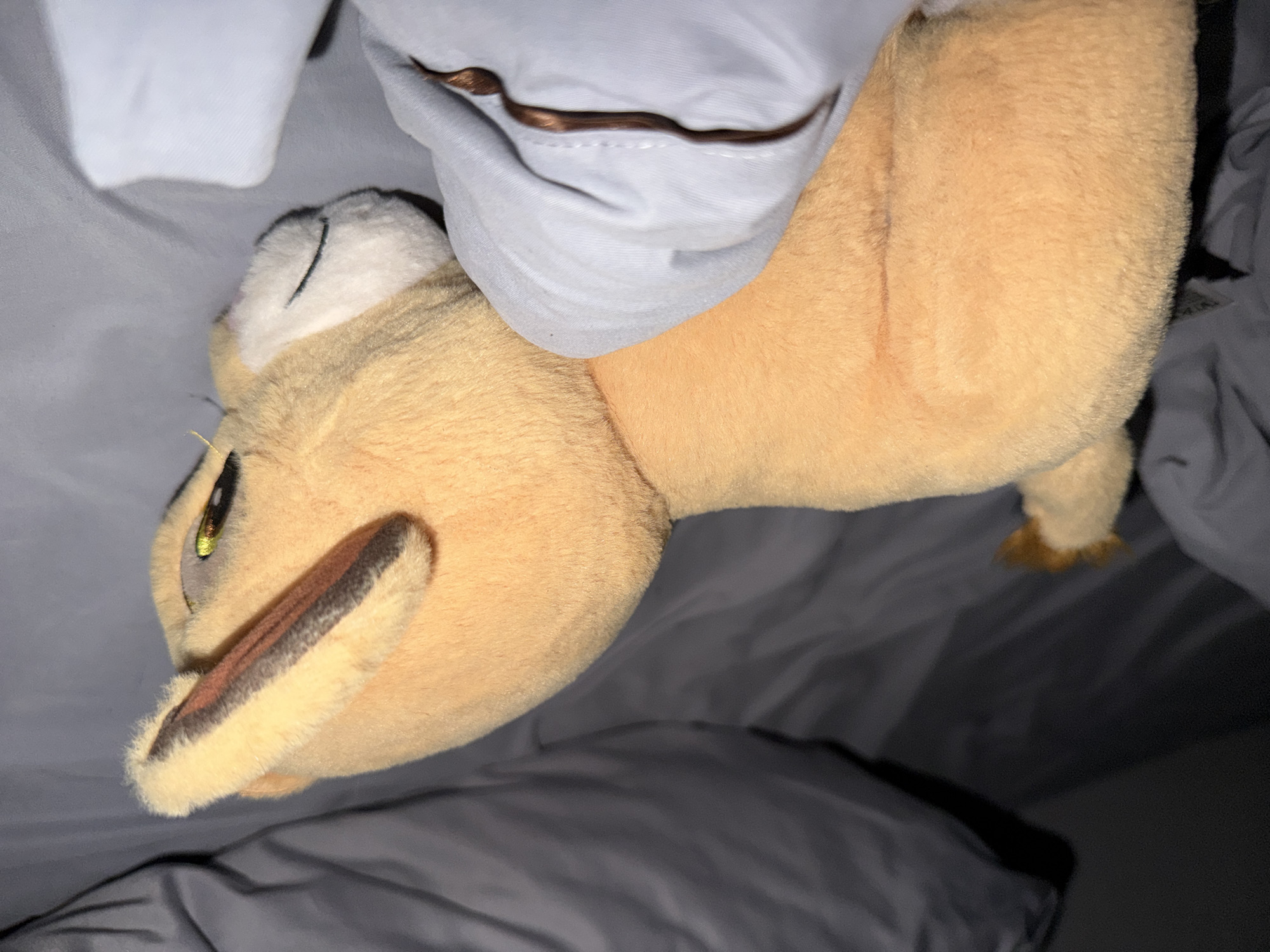 A plush toy lion cub is lying on a bed with gray sheets. The cub is predominantly orange with brown accents on its ears and black stitching for its mouth. Part of a light blue fabric is draped over the cub's body and extends towards the foreground, obscuring its lower half. The background consists of crumpled gray bedding and pillows, suggesting a bedroom environment in Falenty Nowe, Poland.