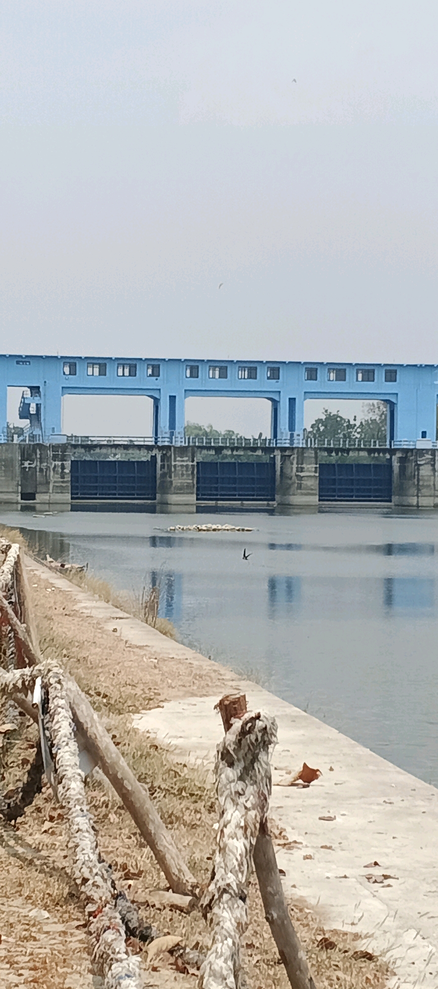 The image depicts a wide shot of a blue dam structure spanning across a body of water. The dam has multiple openings with dark gates, and above the gates, there's a row of windows. Trees are visible behind the dam. In the foreground, there is a concrete embankment with dry grass and some weathered ropes and wooden posts. The water is calm, reflecting the sky and the dam. A bird is captured mid-flight over the water. The scene is set in Parengan, Indonesia. The overall impression is that of a functional structure within a natural or semi-natural environment.