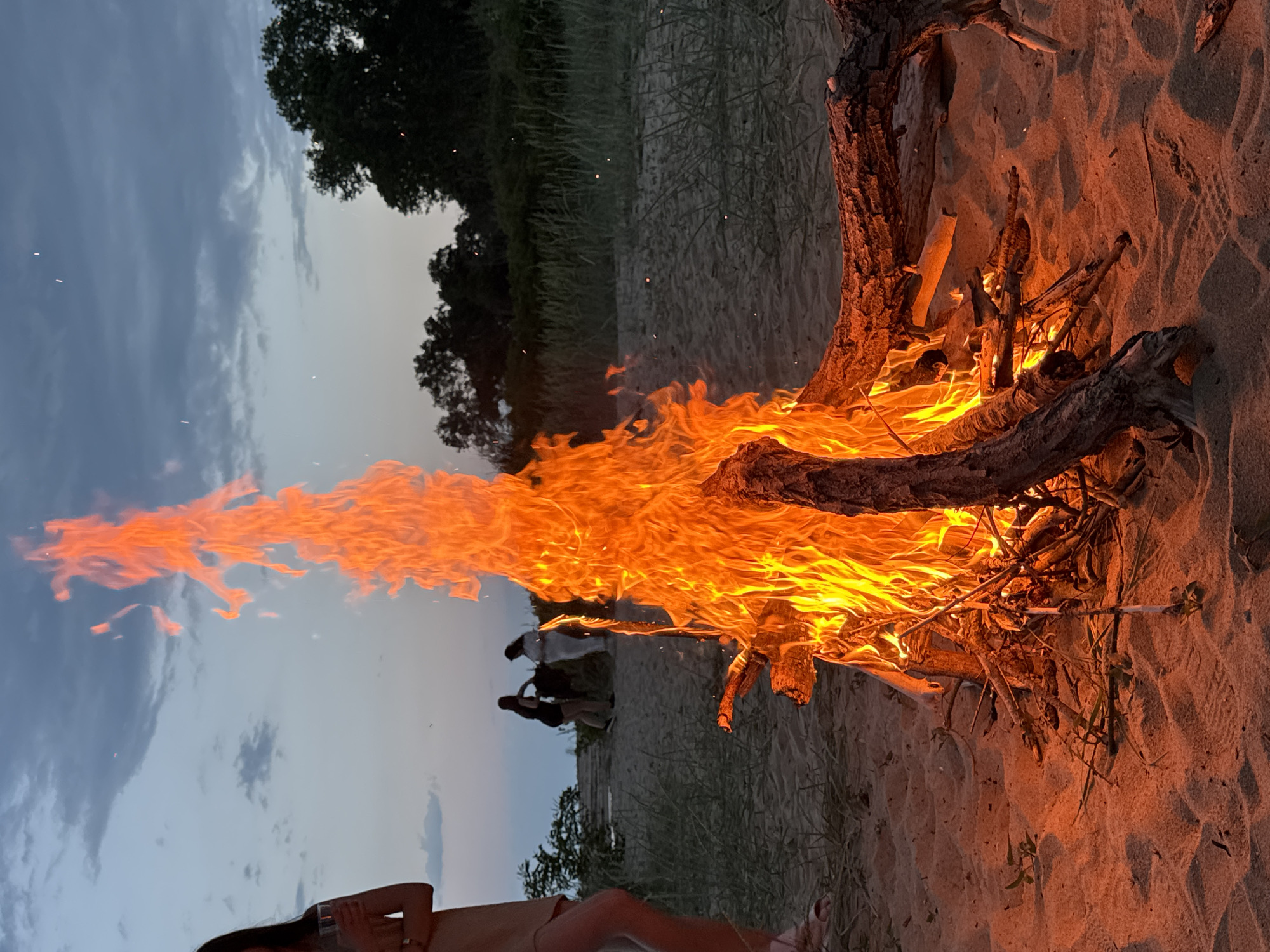 A nighttime scene shows a large bonfire on a sandy beach, likely in Novo Oriahovo, Bulgaria. The fire is built around a large piece of driftwood. Flames rise high into the air against a backdrop of a twilit sky and distant foliage. Three people are silhouetted against the sky and are standing near a grassy dune in the distance. A person is seated in the foreground, at the bottom of the image, with a visible upper arm and a cup in hand. The foreground is the sandy beach.