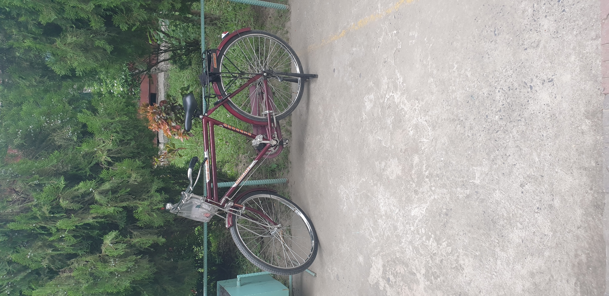Memory