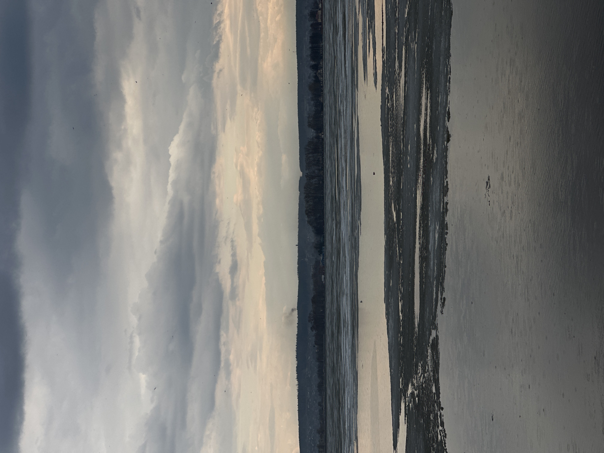 The image depicts a landscape in Votkinsk, Russia. The sky is filled with grey and white clouds. The horizon line shows a dense treeline. A body of water, likely the Votkinsk Reservoir, extends into the foreground, with dark, vertical streaks suggesting ice or reflections on the water's surface. The overall tone is muted and overcast. No people or discernible objects are visible.