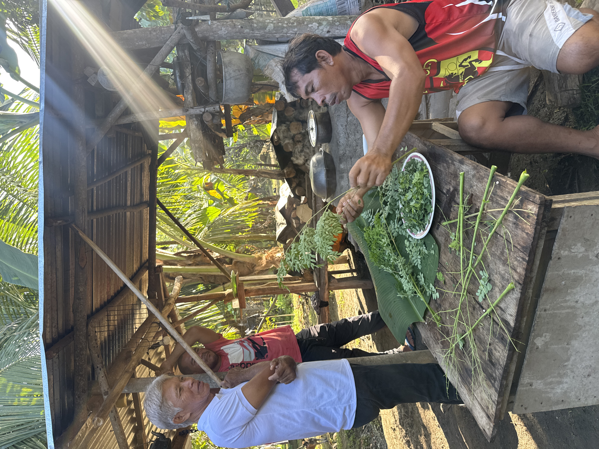 This image, taken in Carmen, Philippines, depicts three men engaged in activity under a corrugated metal and wooden shelter in a sunlit, outdoor setting.
On the left, an older man with short grey hair, wearing a white polo shirt and dark trousers, stands leaning against a wooden post, observing the scene. His expression is calm. Partially obscured behind him, a second man with dark hair, wearing a red t-shirt with a graphic design and dark trousers, stands near another wooden support, holding a long, light-colored stick.
On the right, a third man with short dark hair and a mustache, wearing a red and black sleeveless tank top with a crest-like design and light-colored shorts (bearing the text "BANDERESE"), sits on a low wooden bench. He is actively stripping small, green, pinnate leaves from branches, consistent with *Moringa oleifera*, onto a white circular plate. More stripped branches and a large green banana leaf are spread across the weathered wooden surface of the bench in front of him.
In the background, a rudimentary outdoor cooking area is visible with several dark metal pots, including a lidded one, resting on a concrete base, alongside a pile of logs or firewood. Lush tropical foliage, including palm fronds, surrounds the area, and bright sunbeams penetrate the upper right portion of the frame. The ground is dry earth. A dog is partially visible in the far left background.