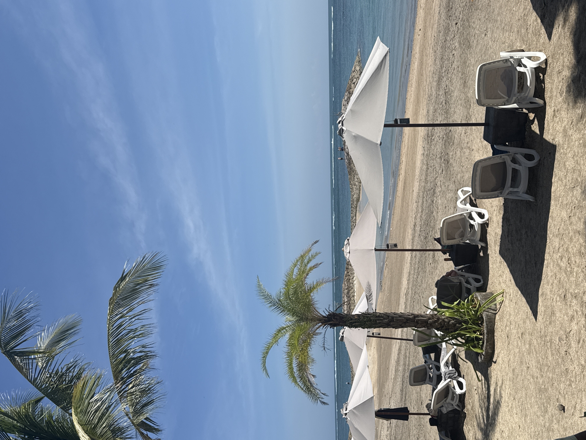 This is a vertical, eye-level medium shot of a beach scene in Kuta, Indonesia. The image is dominated by a clear blue sky and the ocean, with a sandy beach in the foreground. Several white beach umbrellas and empty white lounge chairs are arranged on the sand, suggesting a resort or public beach area. A palm tree stands prominently in the center of the frame, its fronds swaying. In the background, the ocean meets the horizon, and a low stone barrier runs along the shoreline. The lighting indicates it is daytime, likely late morning or early afternoon, with bright sunlight casting shadows. The overall atmosphere is peaceful and relaxing, typical of a beach vacation. There is no visible text in the image.