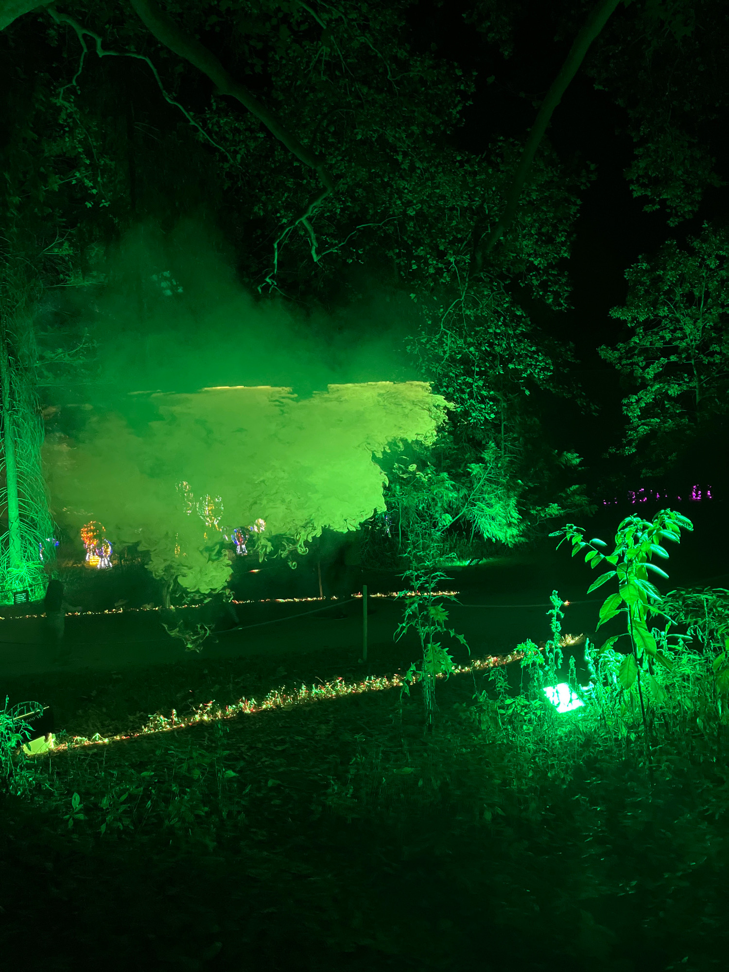 In Kurtovo Konare, Bulgaria, a nighttime scene unfolds amidst lush greenery, illuminated by an ethereal green light. A dense fog, also bathed in green, drifts across the landscape, obscuring details and creating an otherworldly atmosphere. Glimpses of what appear to be illuminated figures or structures can be seen through the mist, hinting at a festive or celebratory event. The foreground is dominated by dark foliage, with scattered smaller plants and what look like tiny, colorful lights forming a decorative line along the ground. A lone figure is partially visible in the lower left of the frame, standing near what appears to be a tall, slender structure also illuminated in green. The overall impression is one of a surreal and magical night in nature.