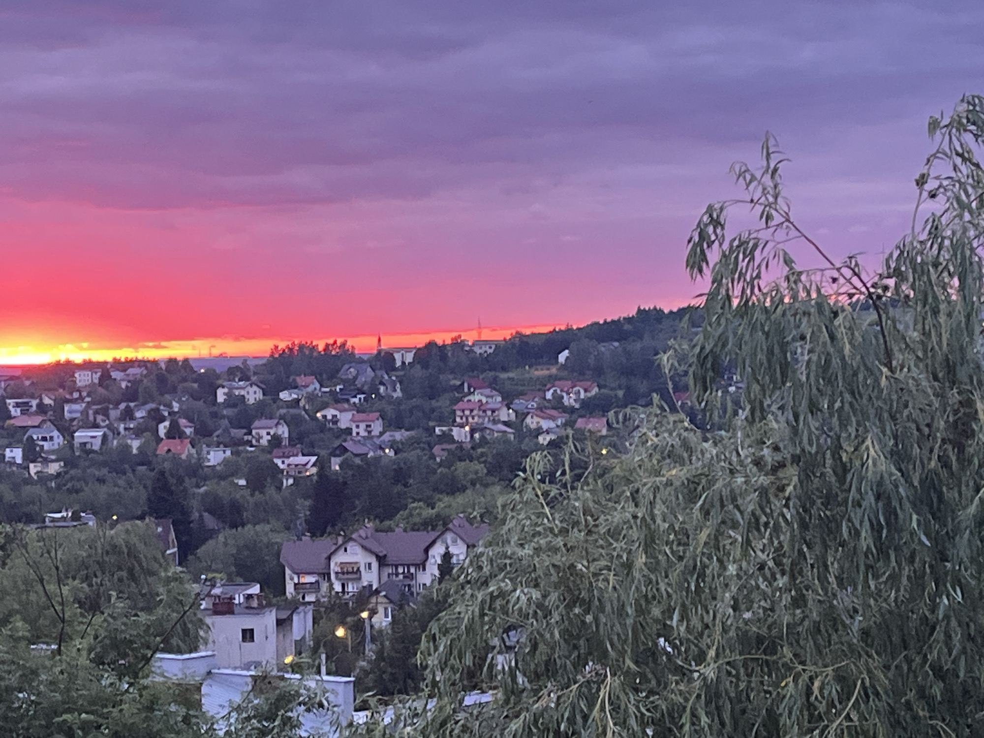 An extreme wide shot captures a vibrant sunset over a residential area. The sky transitions from a bright yellow and fiery red near the horizon to a soft pink and deep purple higher up. Numerous houses with red and brown rooftops are nestled amongst green trees on a gently sloping hill. In the foreground, a large weeping willow tree with long, flowing branches partially obscures the view of the houses. The overall scene depicts a serene twilight over a suburban landscape.