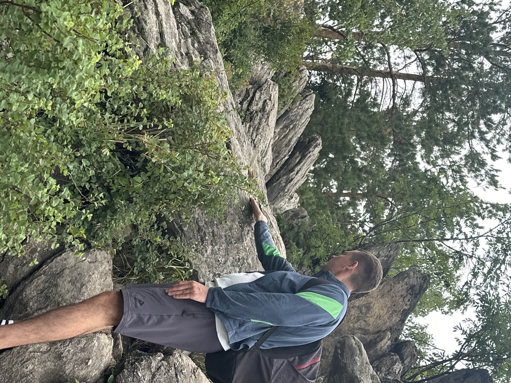 A young adult male, wearing a blue and green jacket, grey shorts, and a black backpack, is standing on a rocky incline covered in lush green vegetation, with his right hand extended and touching a rock. He appears to be looking down at the rock, perhaps examining it. In the background, tall evergreen trees and large, weathered rocks dominate the landscape, suggesting a natural, possibly mountainous environment. The sky is overcast. The scene is likely located in the city of Belokurikha, Russia, known for its mountainous terrain and natural beauty.