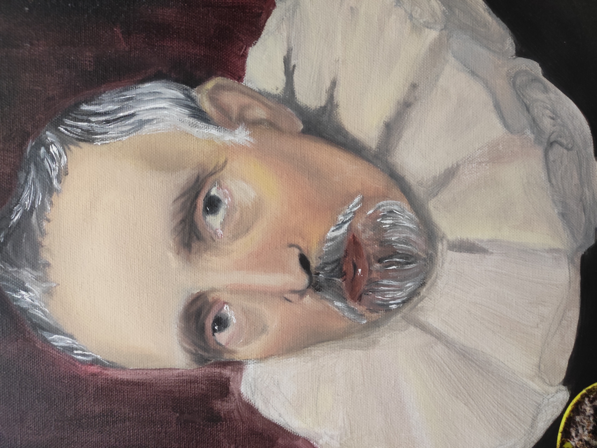 The image shows an oil painting of a man with white hair and a white ruff. The painting is in a portrait format, with the man's face angled slightly towards the viewer. The background appears to be a dark reddish-brown on one side and black on the other. A small yellow and brown object, possibly a pot with soil, is visible in the bottom right corner. No specific information allows the location to be identified as Sofia, Bulgaria.